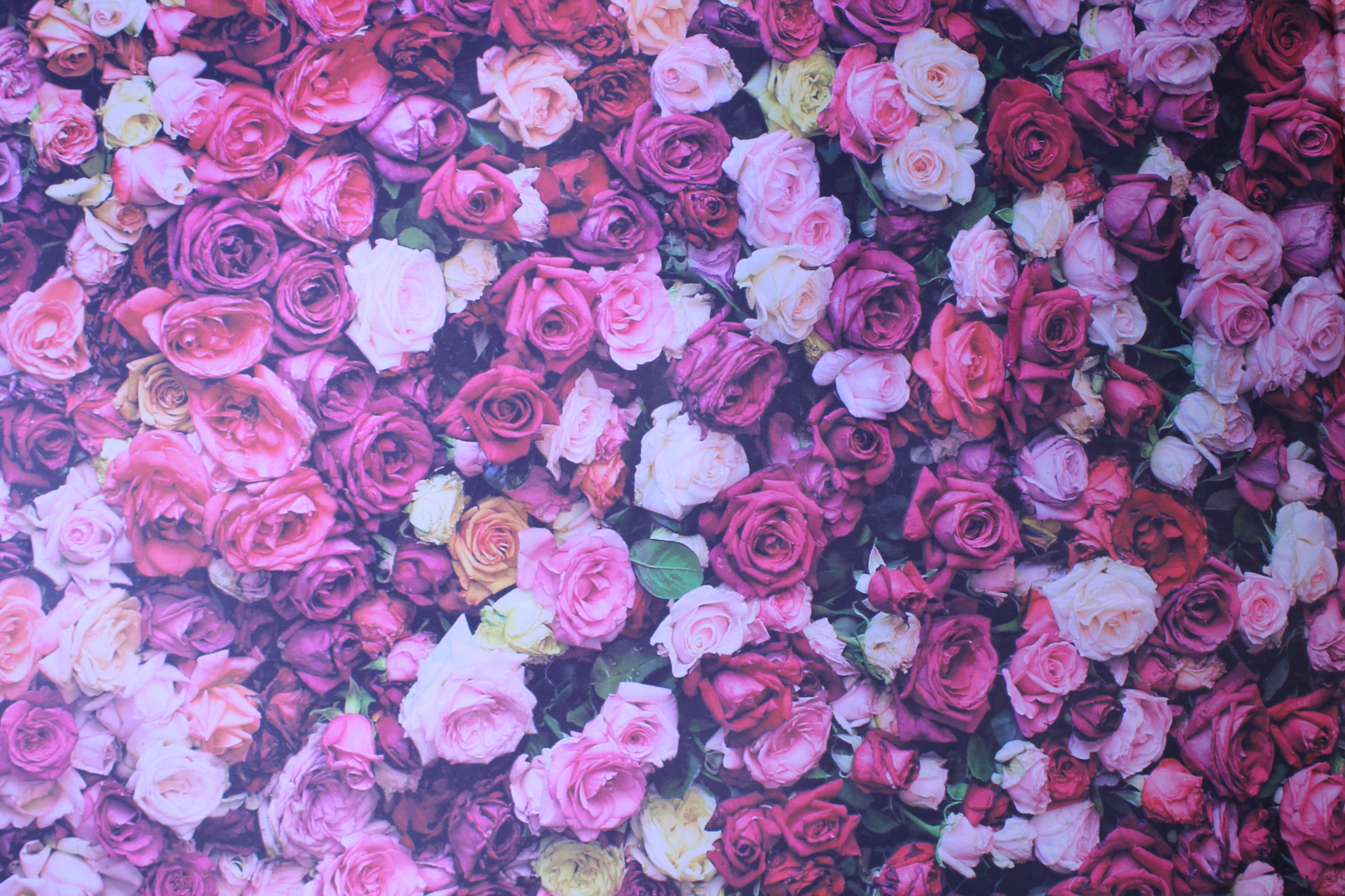 Katie's 30th Birthday | View more photos from the event at gallery.boothtube.co.uk/u/BoothtubeLtd/Katies-30th-Birthday