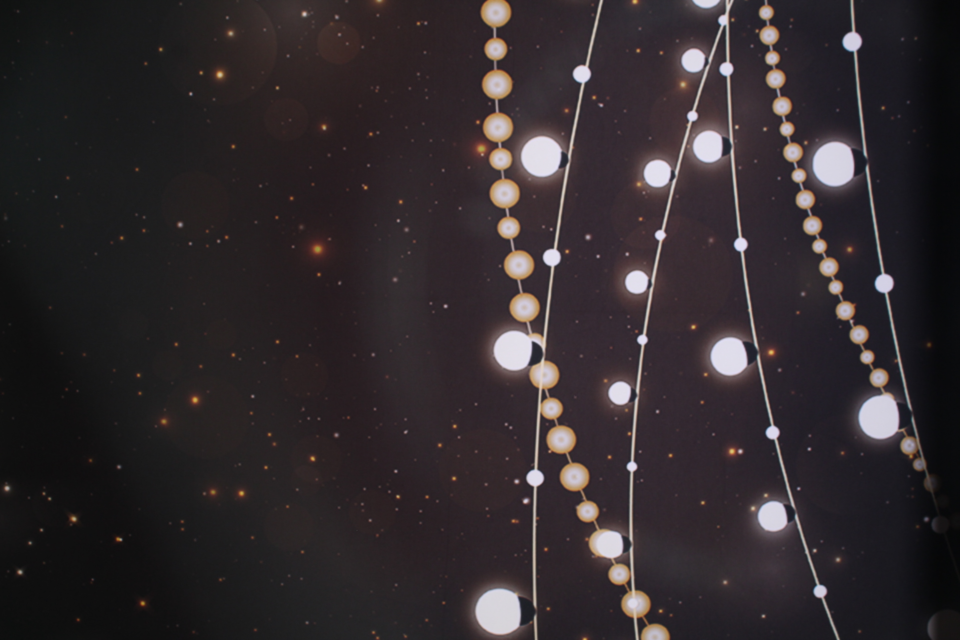 Alyssa's Graduation | View more photos from the event at gallery.cherishthemomentspb.com/u/CherishTheMomentsPhotoBooth/Alyssas-Graduation