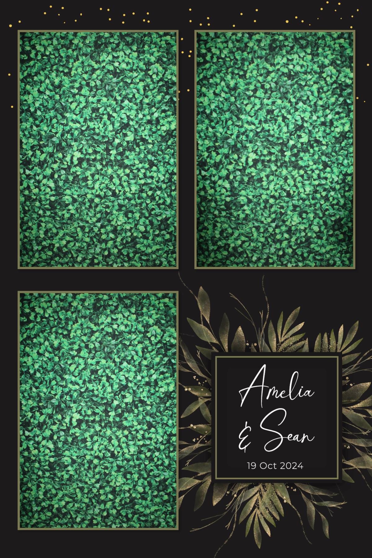 Sean and Amelia | View more photos from the event at v1.boothgallery.com/u/Dustin/Sean-and-Amelia