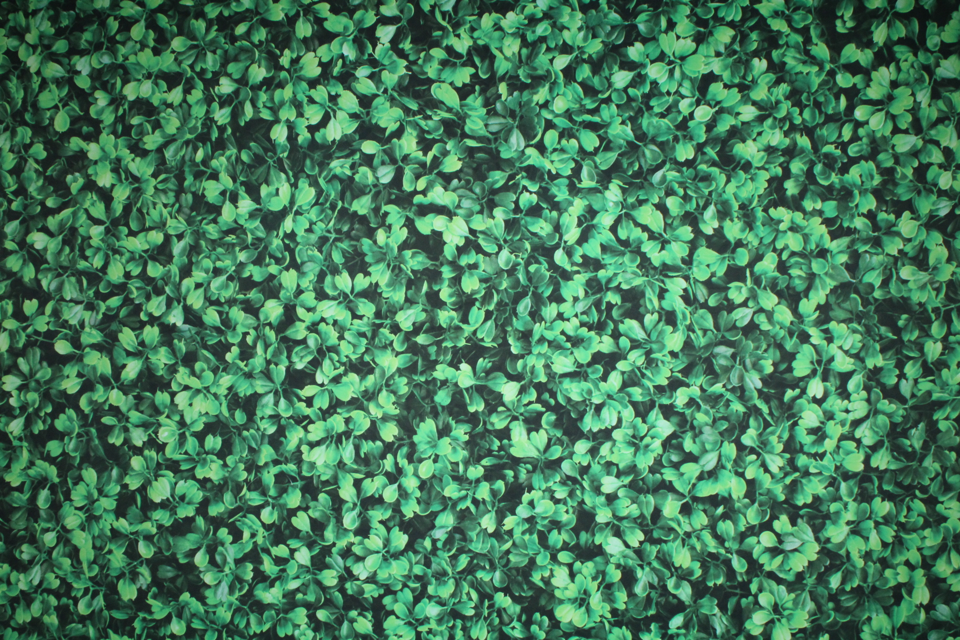 Sean and Amelia | View more photos from the event at v1.boothgallery.com/u/Dustin/Sean-and-Amelia