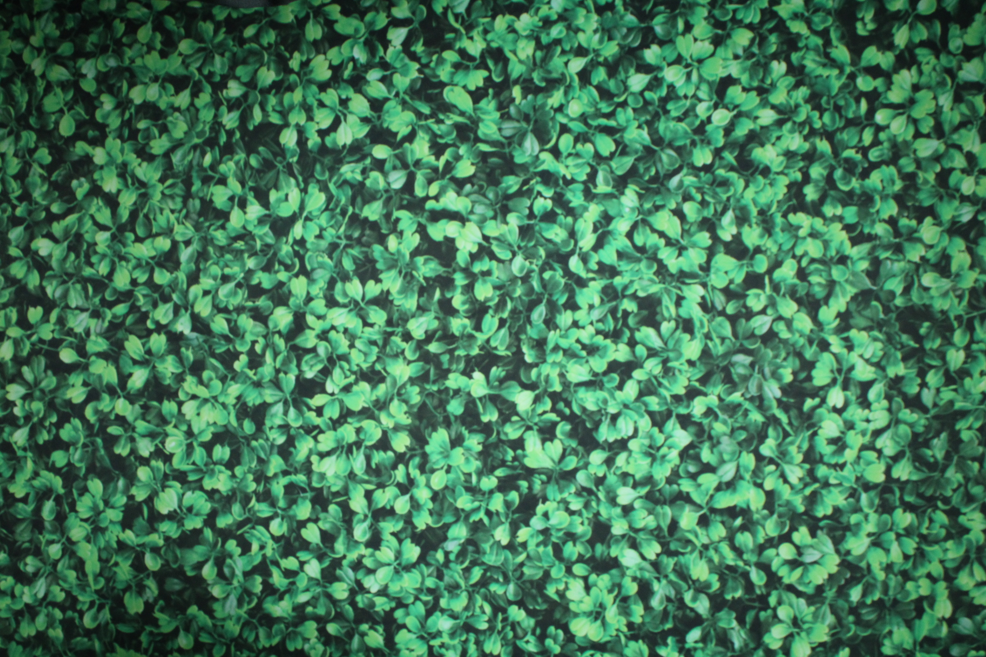 Sean and Amelia | View more photos from the event at v1.boothgallery.com/u/Dustin/Sean-and-Amelia