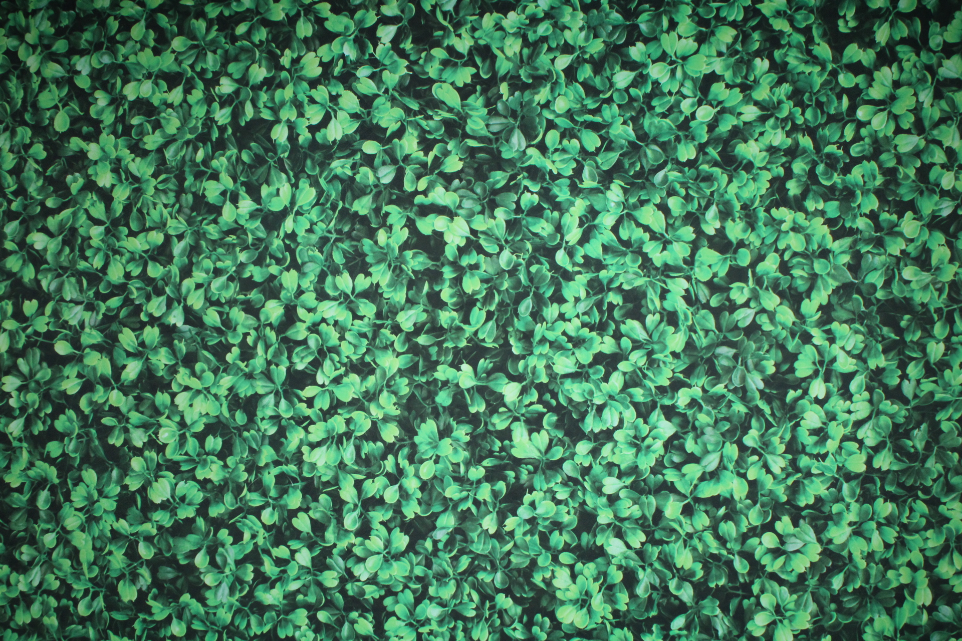 Sean and Amelia | View more photos from the event at v1.boothgallery.com/u/Dustin/Sean-and-Amelia