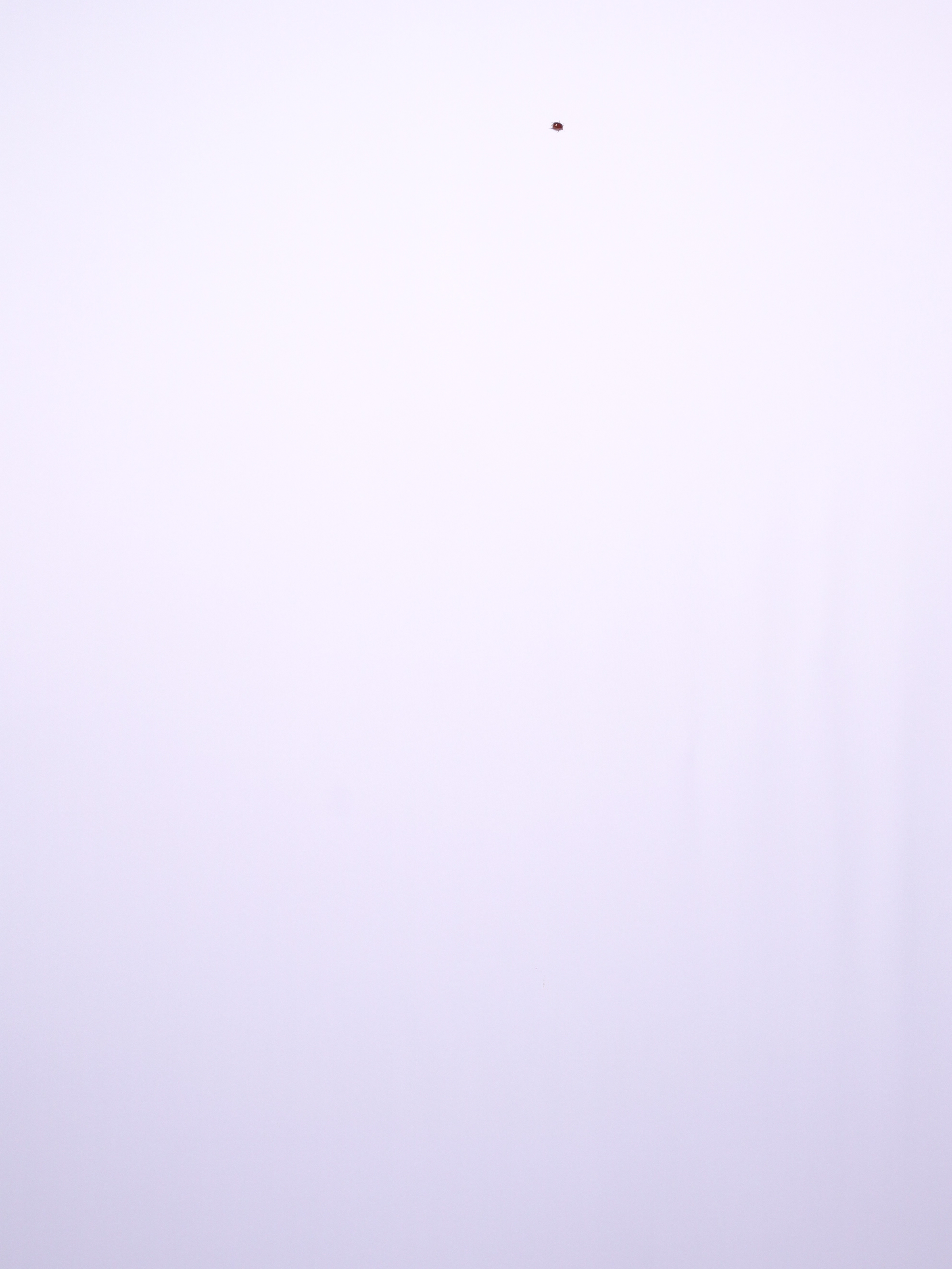 Hadley and Jomi | View more photos from the event at photos.goldotter.co.za/u/GoldOtterMedia/Hadley-and-Jomi