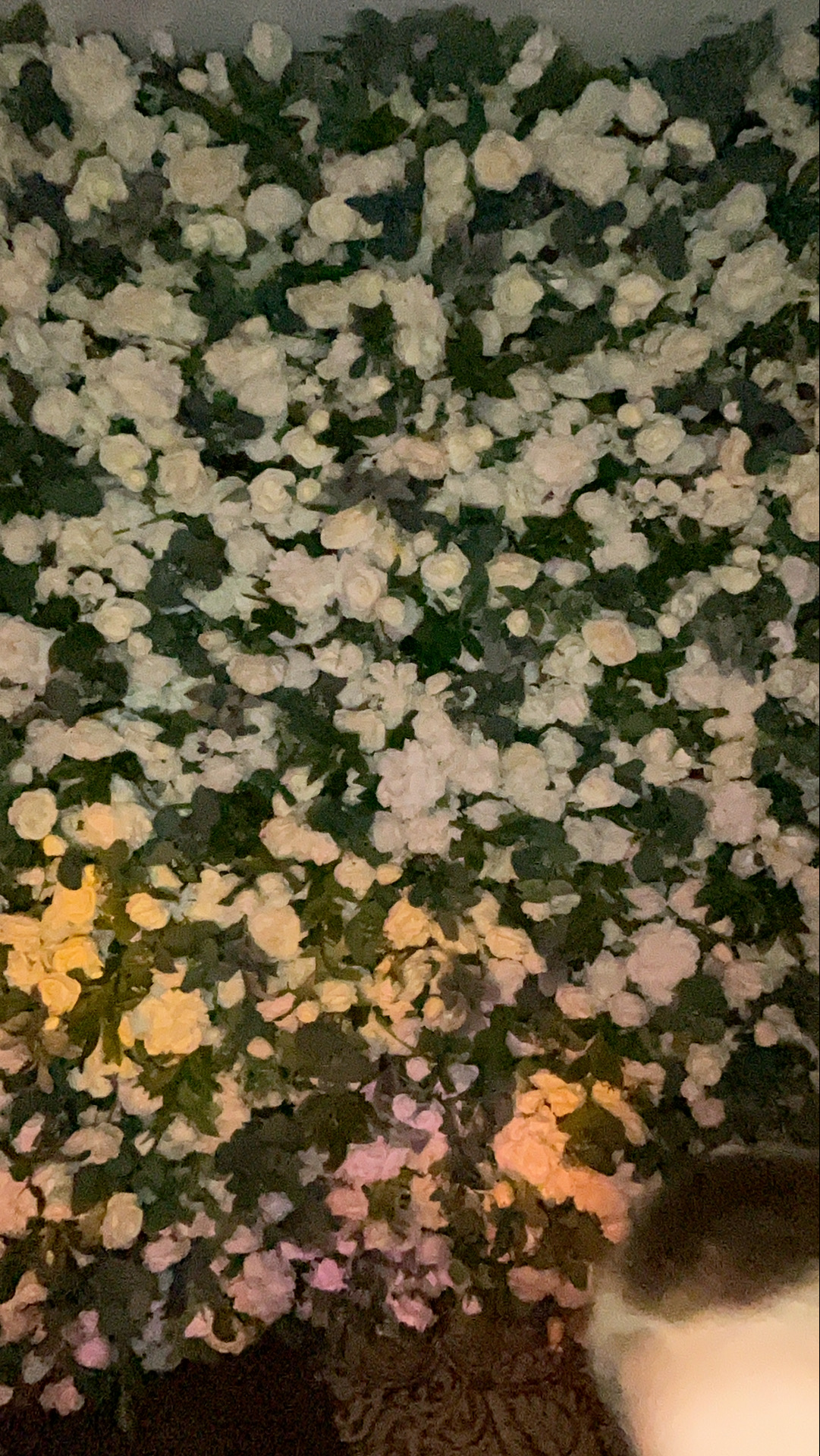 Deone & Jason Photo Booth Images  | View more photos from the event at gallery.magicimages.uk/u/MagicImages/Deone-Jason-Photo-Booth-Images