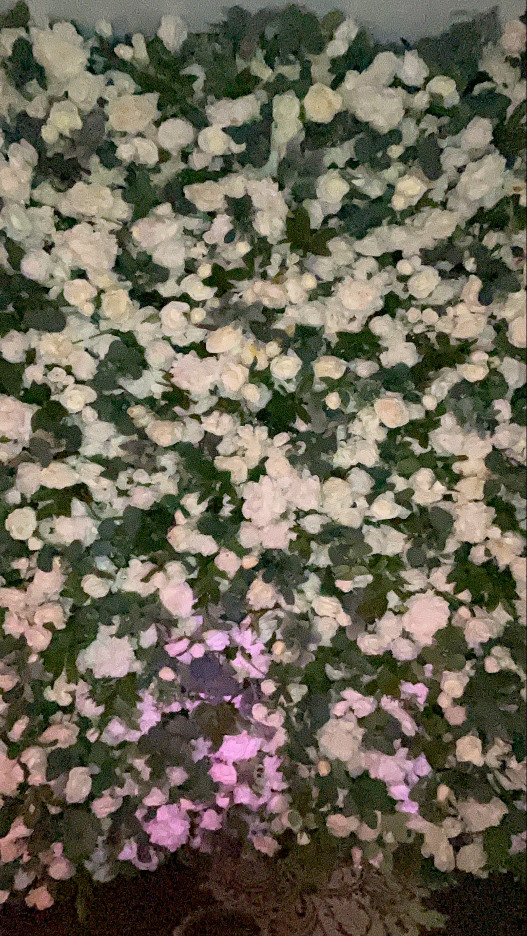 Deone & Jason Photo Booth Images  | View more photos from the event at gallery.magicimages.uk/u/MagicImages/Deone-Jason-Photo-Booth-Images