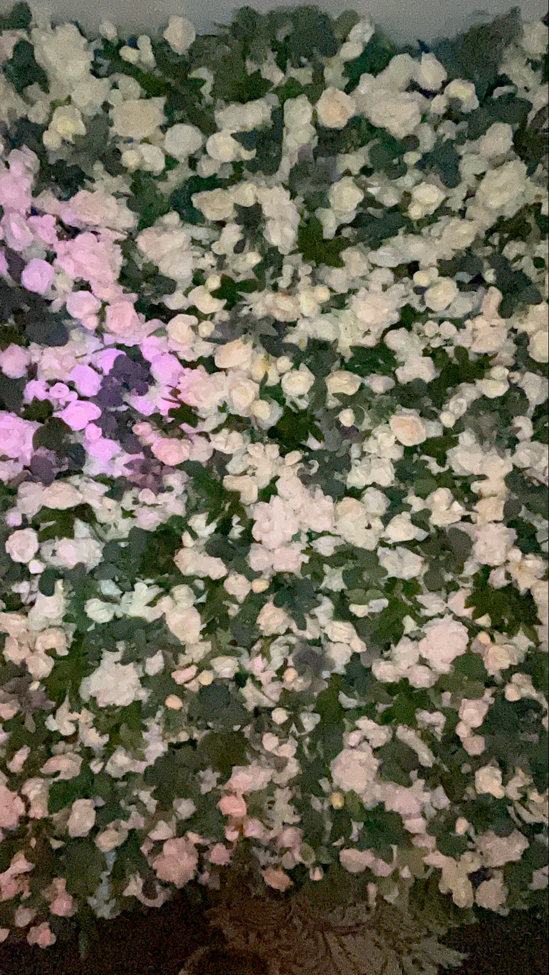 Deone & Jason Photo Booth Images  | View more photos from the event at gallery.magicimages.uk/u/MagicImages/Deone-Jason-Photo-Booth-Images