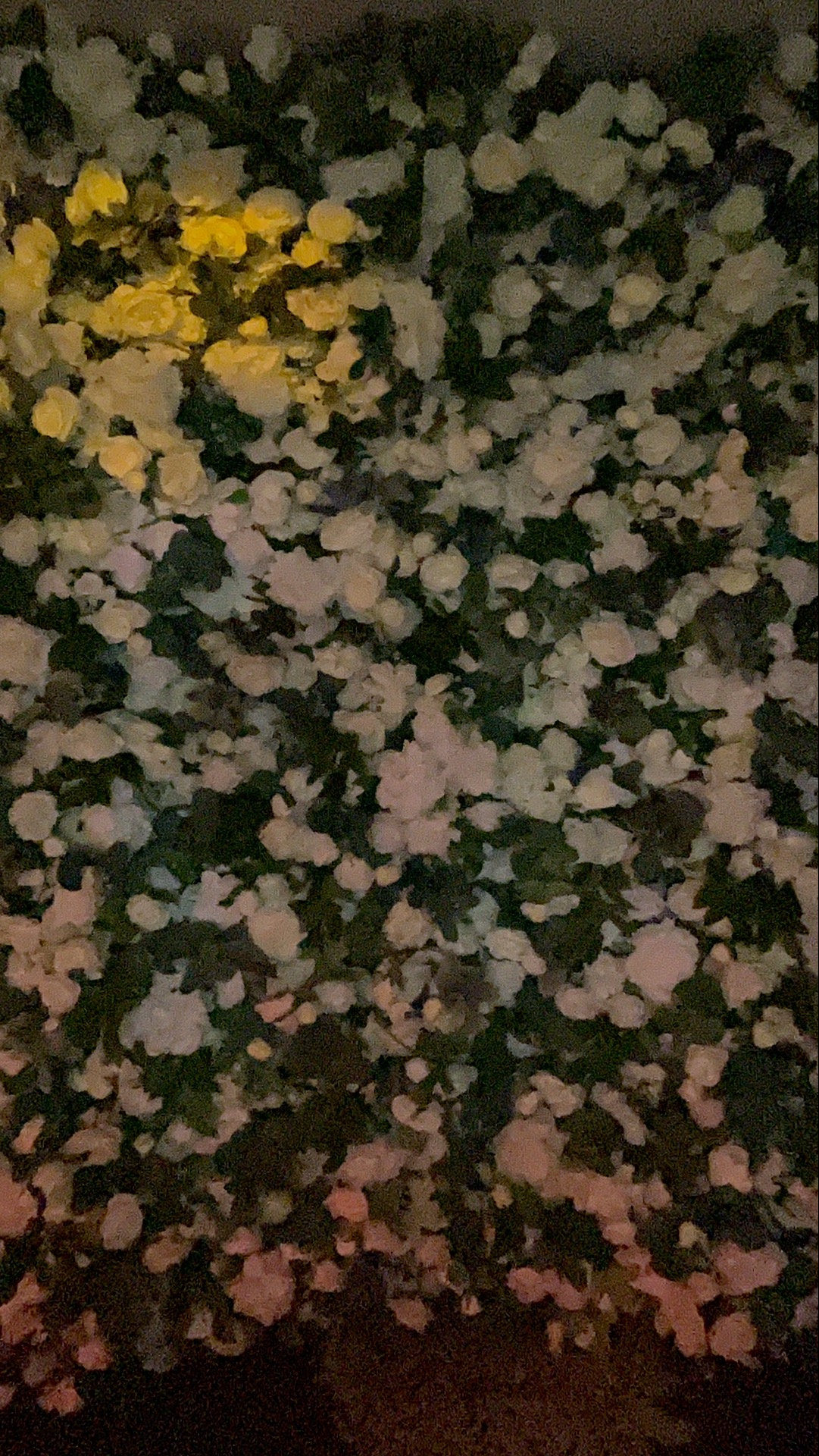 Deone & Jason Photo Booth Images  | View more photos from the event at gallery.magicimages.uk/u/MagicImages/Deone-Jason-Photo-Booth-Images