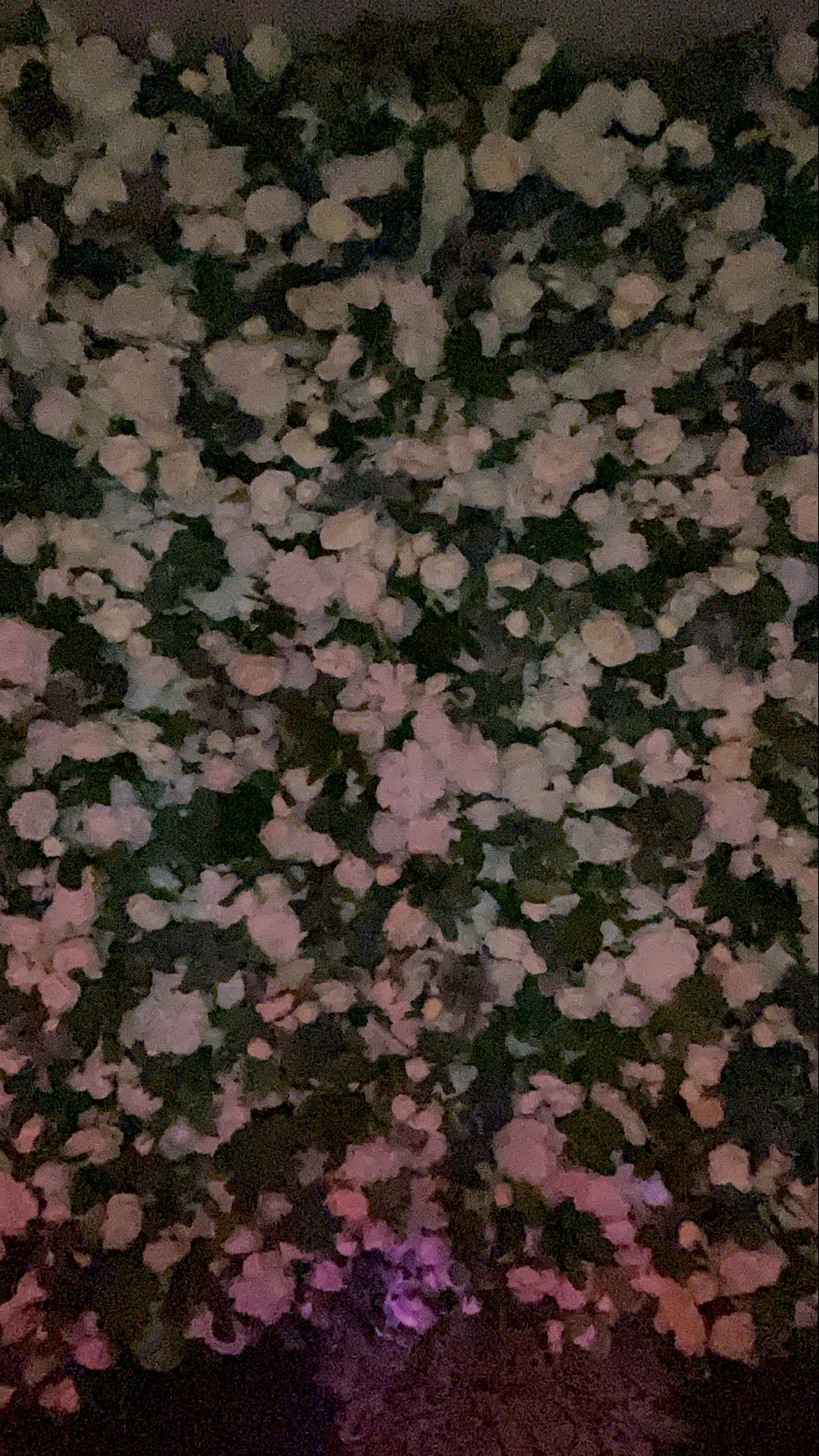 Deone & Jason Photo Booth Images  | View more photos from the event at gallery.magicimages.uk/u/MagicImages/Deone-Jason-Photo-Booth-Images