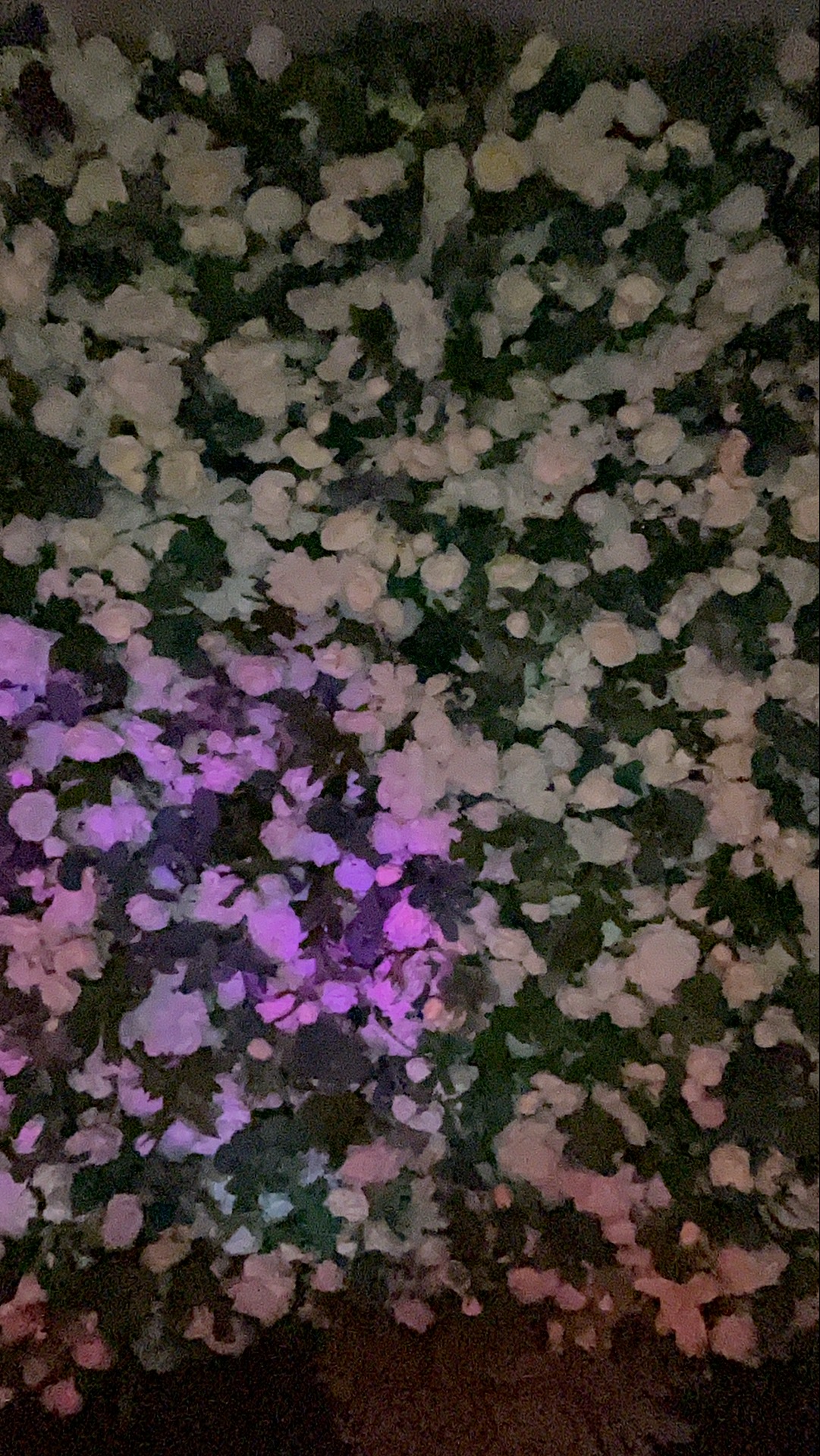 Deone & Jason Photo Booth Images  | View more photos from the event at gallery.magicimages.uk/u/MagicImages/Deone-Jason-Photo-Booth-Images