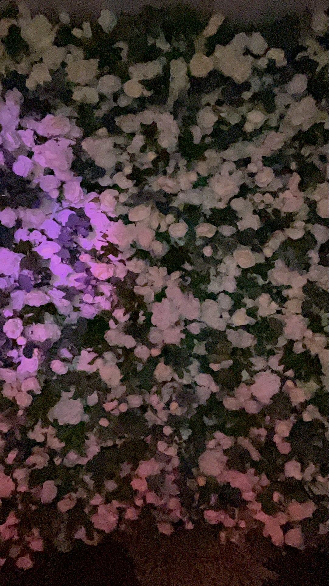 Deone & Jason Photo Booth Images  | View more photos from the event at gallery.magicimages.uk/u/MagicImages/Deone-Jason-Photo-Booth-Images