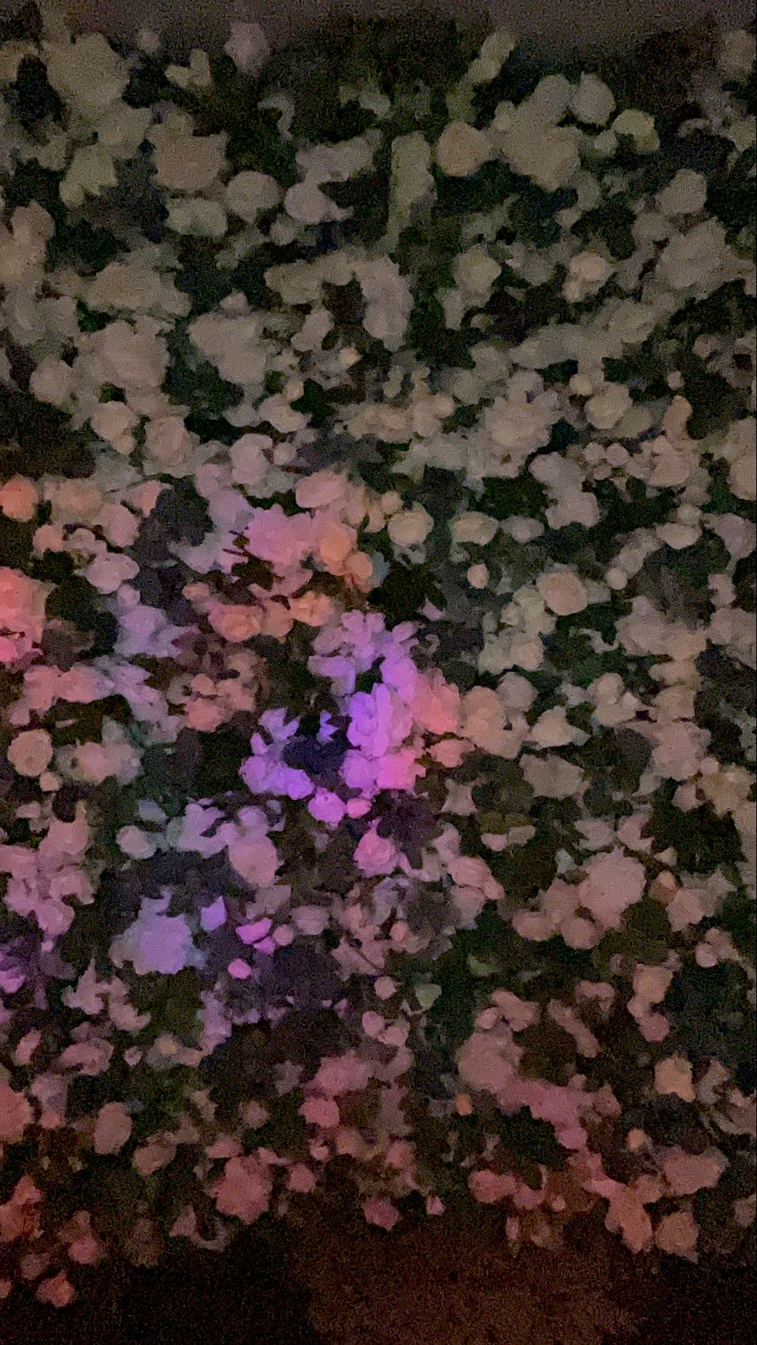 Deone & Jason Photo Booth Images  | View more photos from the event at gallery.magicimages.uk/u/MagicImages/Deone-Jason-Photo-Booth-Images