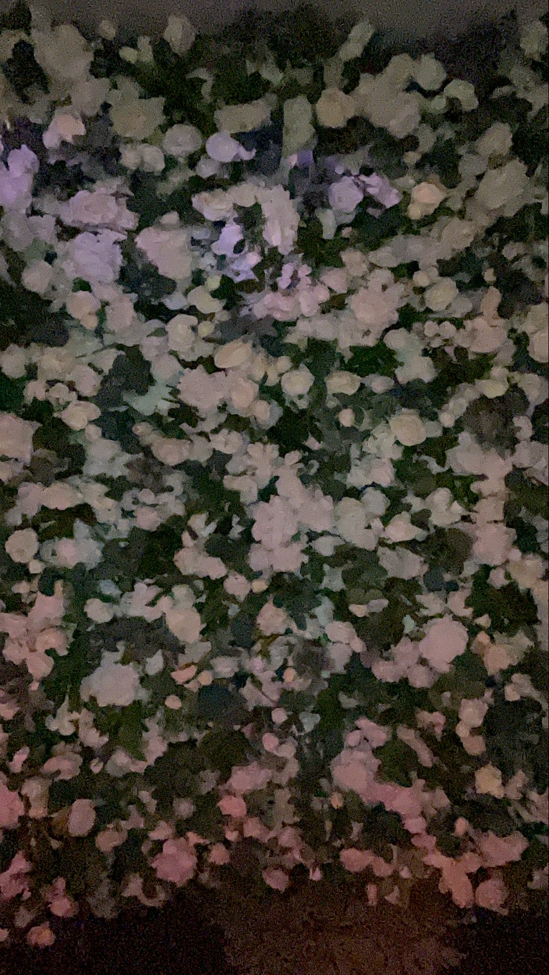 Deone & Jason Photo Booth Images  | View more photos from the event at gallery.magicimages.uk/u/MagicImages/Deone-Jason-Photo-Booth-Images