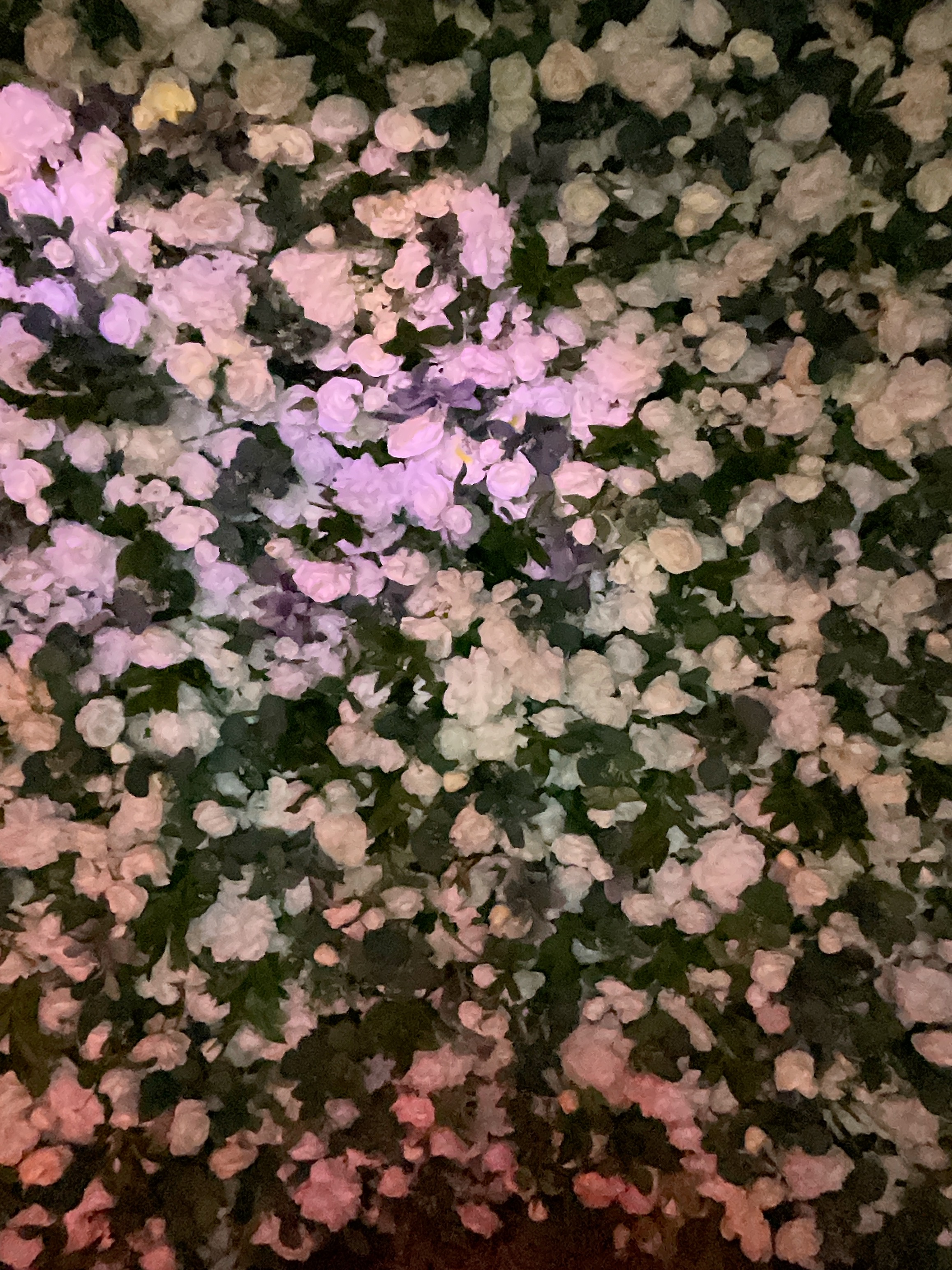 Deone & Jason Photo Booth Images  | View more photos from the event at gallery.magicimages.uk/u/MagicImages/Deone-Jason-Photo-Booth-Images