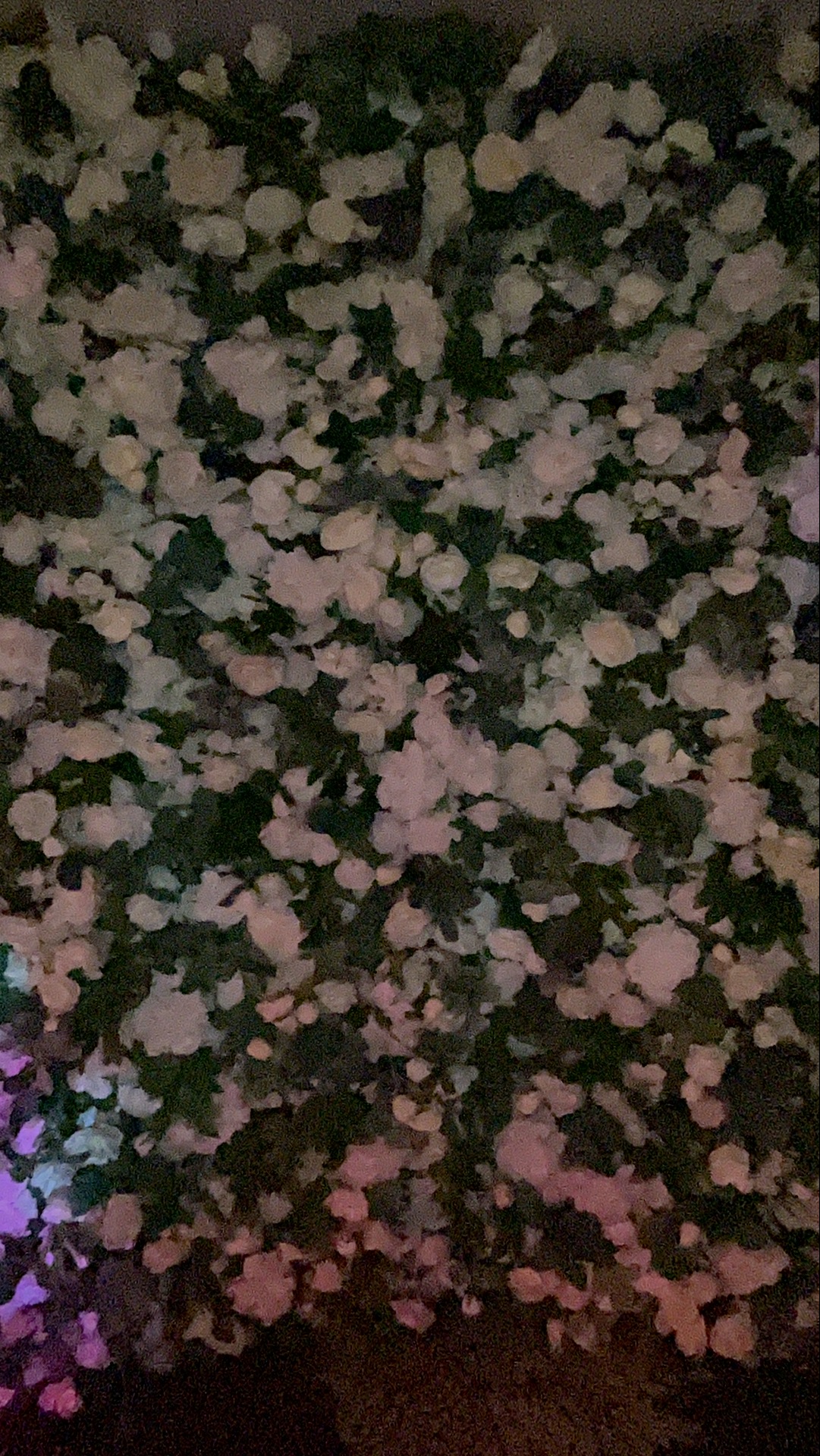 Deone & Jason Photo Booth Images  | View more photos from the event at gallery.magicimages.uk/u/MagicImages/Deone-Jason-Photo-Booth-Images