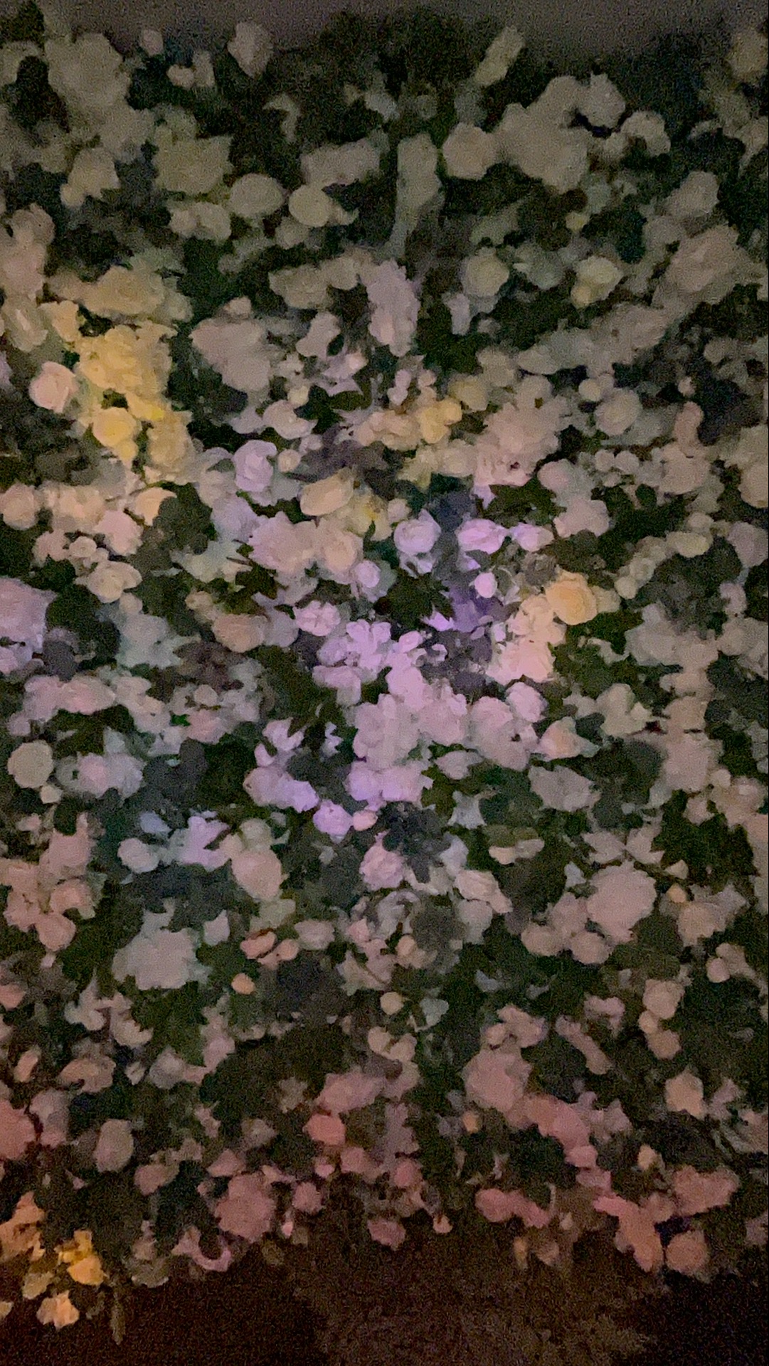 Deone & Jason Photo Booth Images  | View more photos from the event at gallery.magicimages.uk/u/MagicImages/Deone-Jason-Photo-Booth-Images