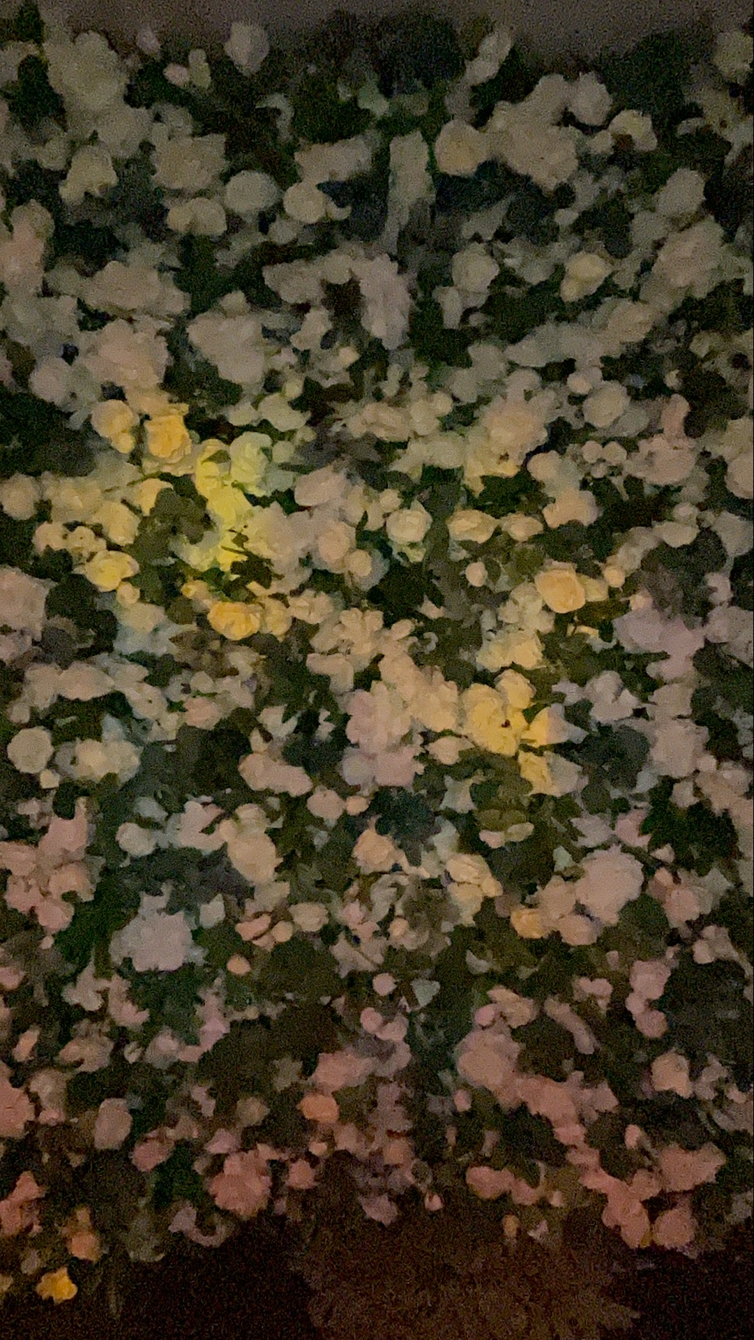 Deone & Jason Photo Booth Images  | View more photos from the event at gallery.magicimages.uk/u/MagicImages/Deone-Jason-Photo-Booth-Images