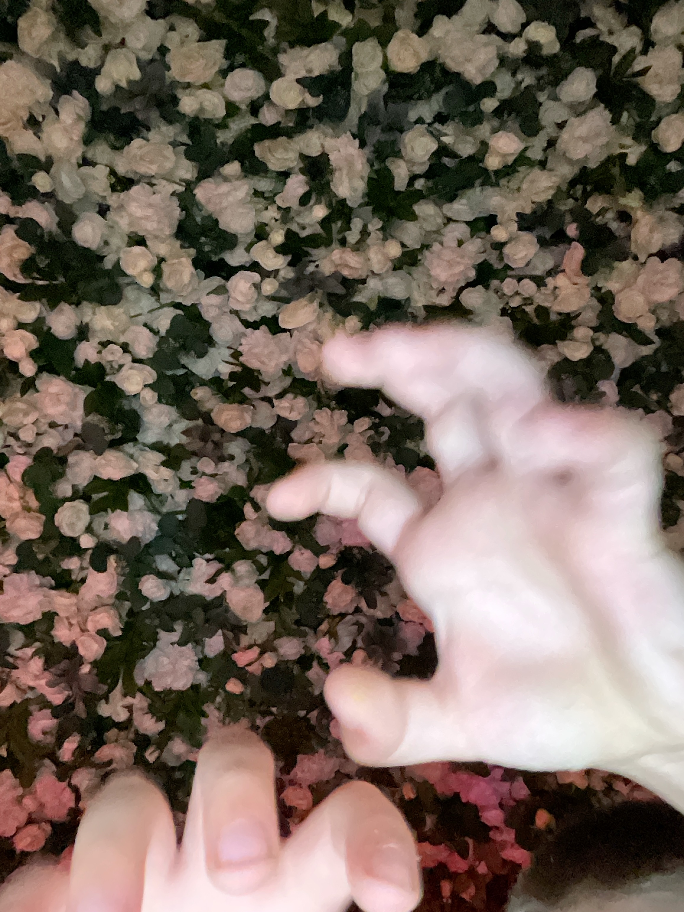 Deone & Jason Photo Booth Images  | View more photos from the event at gallery.magicimages.uk/u/MagicImages/Deone-Jason-Photo-Booth-Images