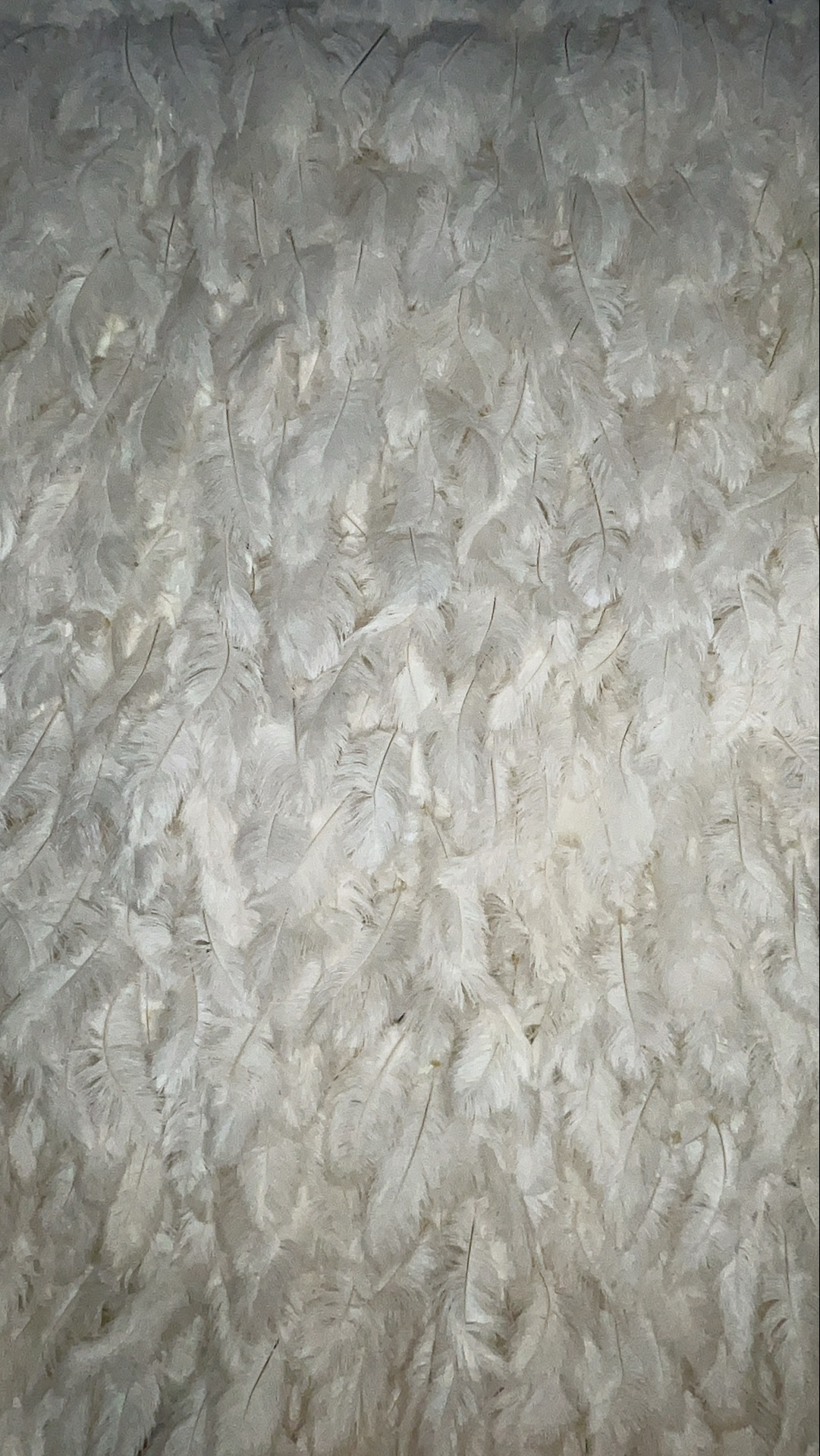 Stevie & Dale's photo booth images  | View more photos from the event at gallery.magicimages.uk/u/MagicImages/Stevie-Dales-photo-booth-images