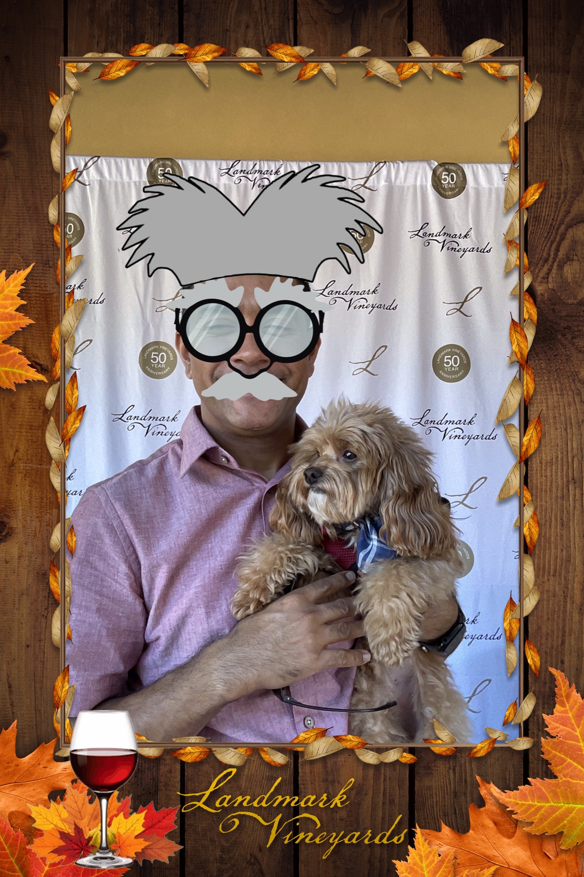 Annual Harvest Party | View more photos from the event at gallery.magicmirror707.com/u/MagicMirror707/Annual-Harvest-Party