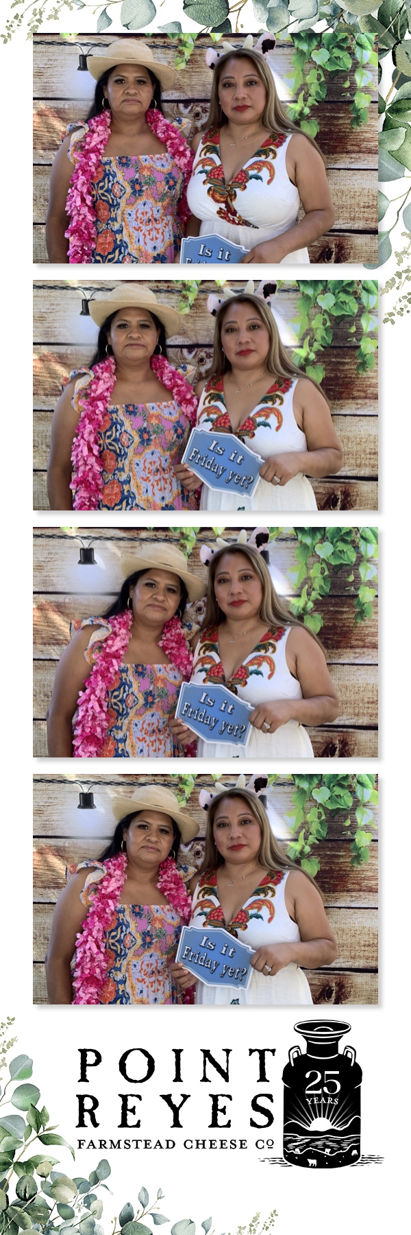 Point Reyes Farmstead Cheese - 25th celebration | View more photos from the event at gallery.magicmirror707.com/u/MagicMirror707/Point-Reyes-Farmstead-Cheese-25th-celebration