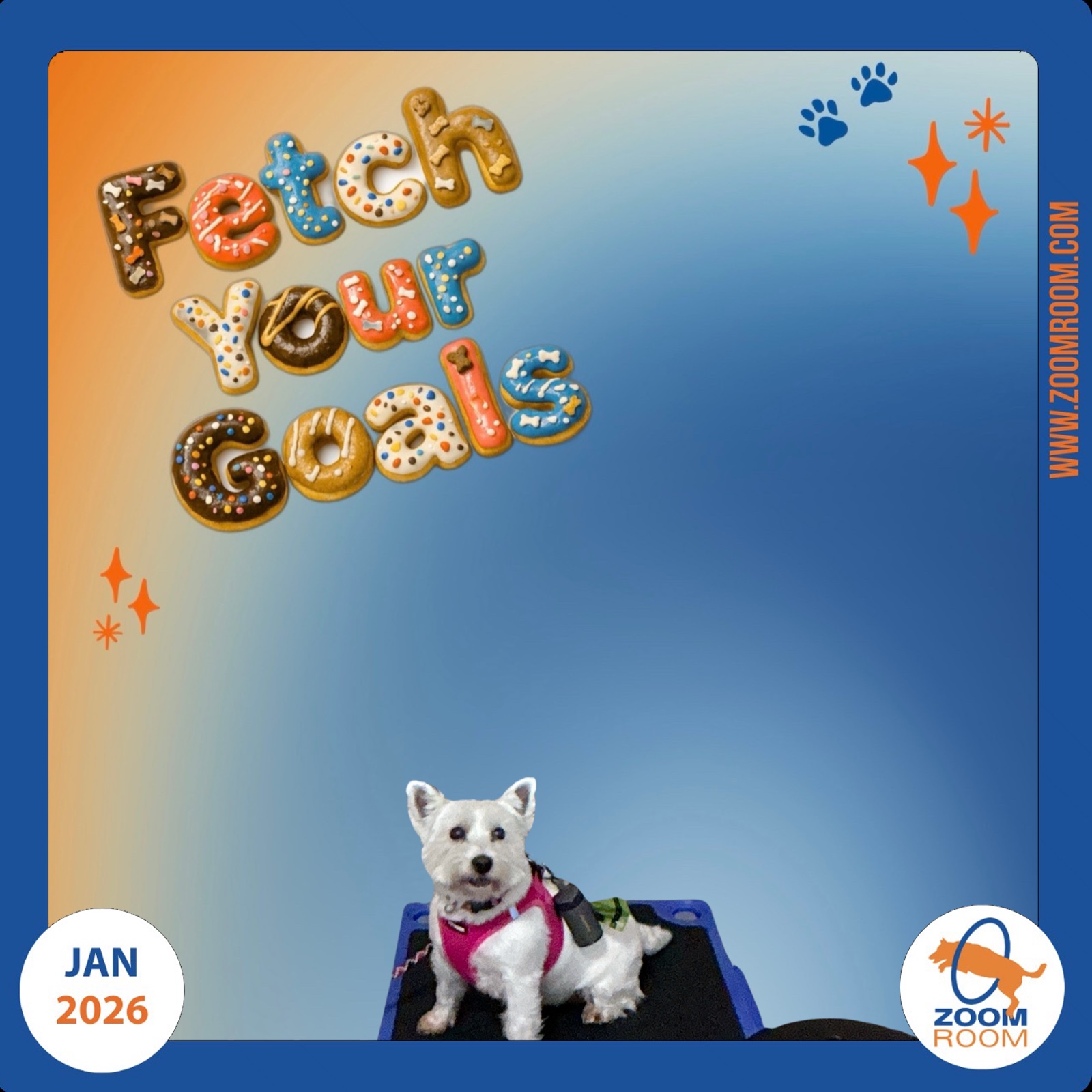 Zoom Room Fetch Your Goals | View more photos from the event at gallery.niknoxphotobox.com/u/NiKnox-Photo-Box/Zoom-Room-Fetch-Your-Goals