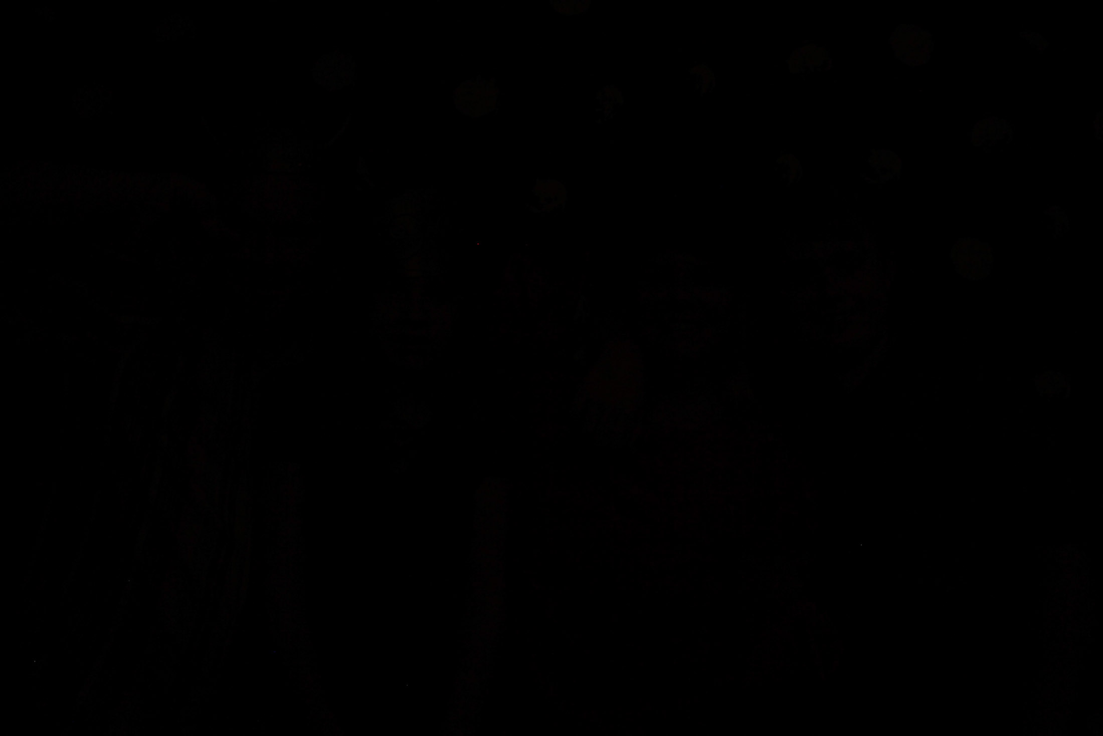 Tina & Simon's Wedding | View more photos from the event at gallery.picturematic.co/u/Picturematic/Tina-Simons-Wedding