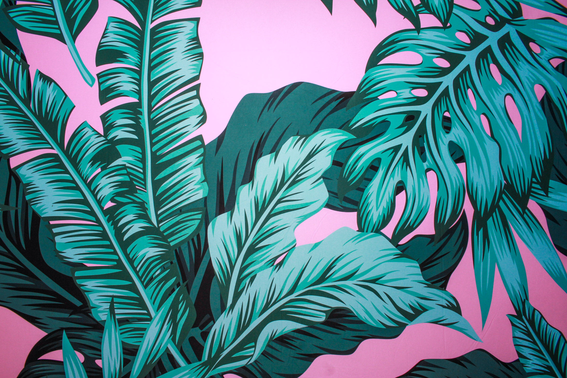 Toni & Hayden's Wedding | View more photos from the event at gallery.picturematic.co/u/Picturematic/Toni-Haydens-Wedding