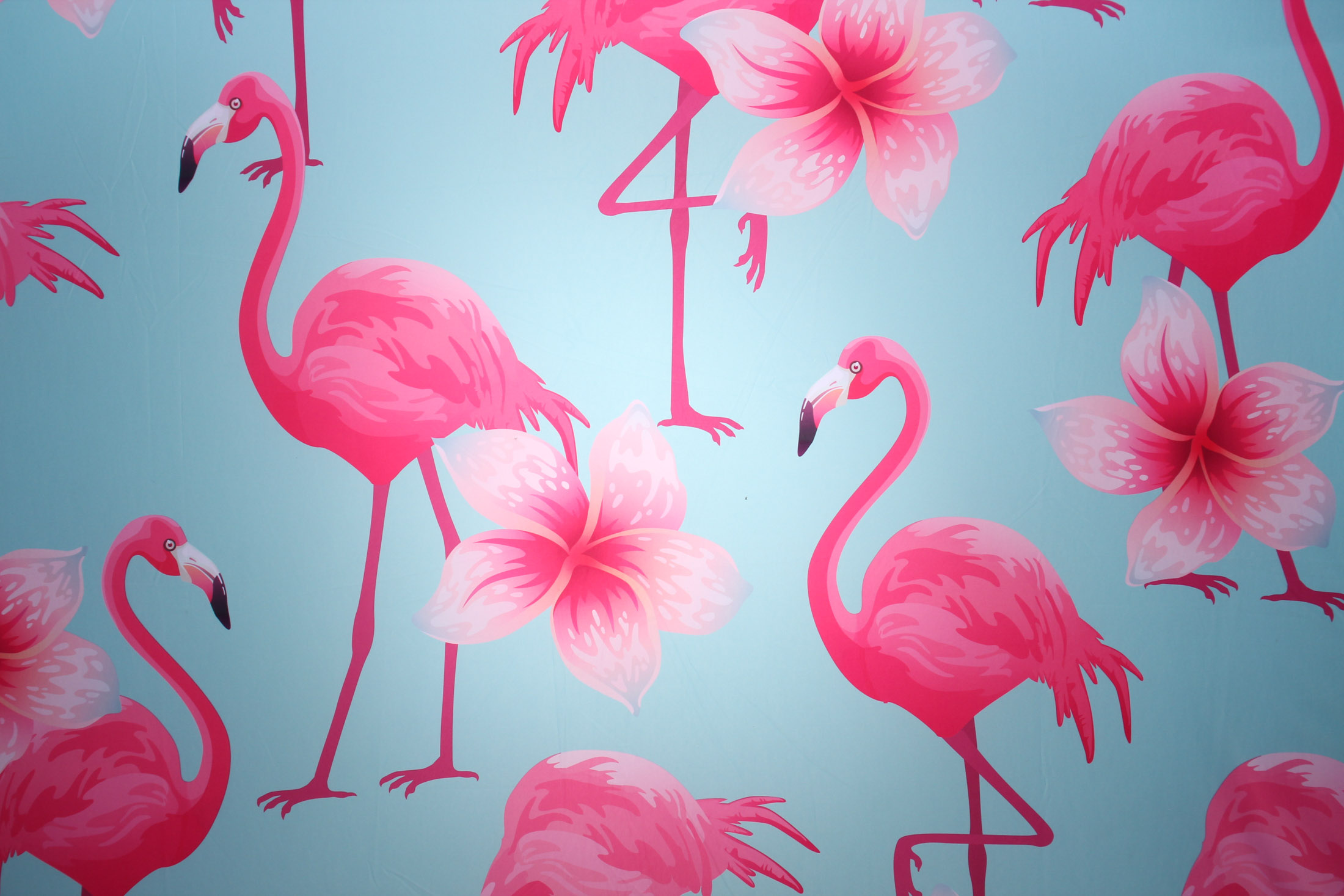 Elle & Craigs Wedding | View more photos from the event at gallery.picturematic.co/u/Picturematic/Elle-Craigs-Wedding