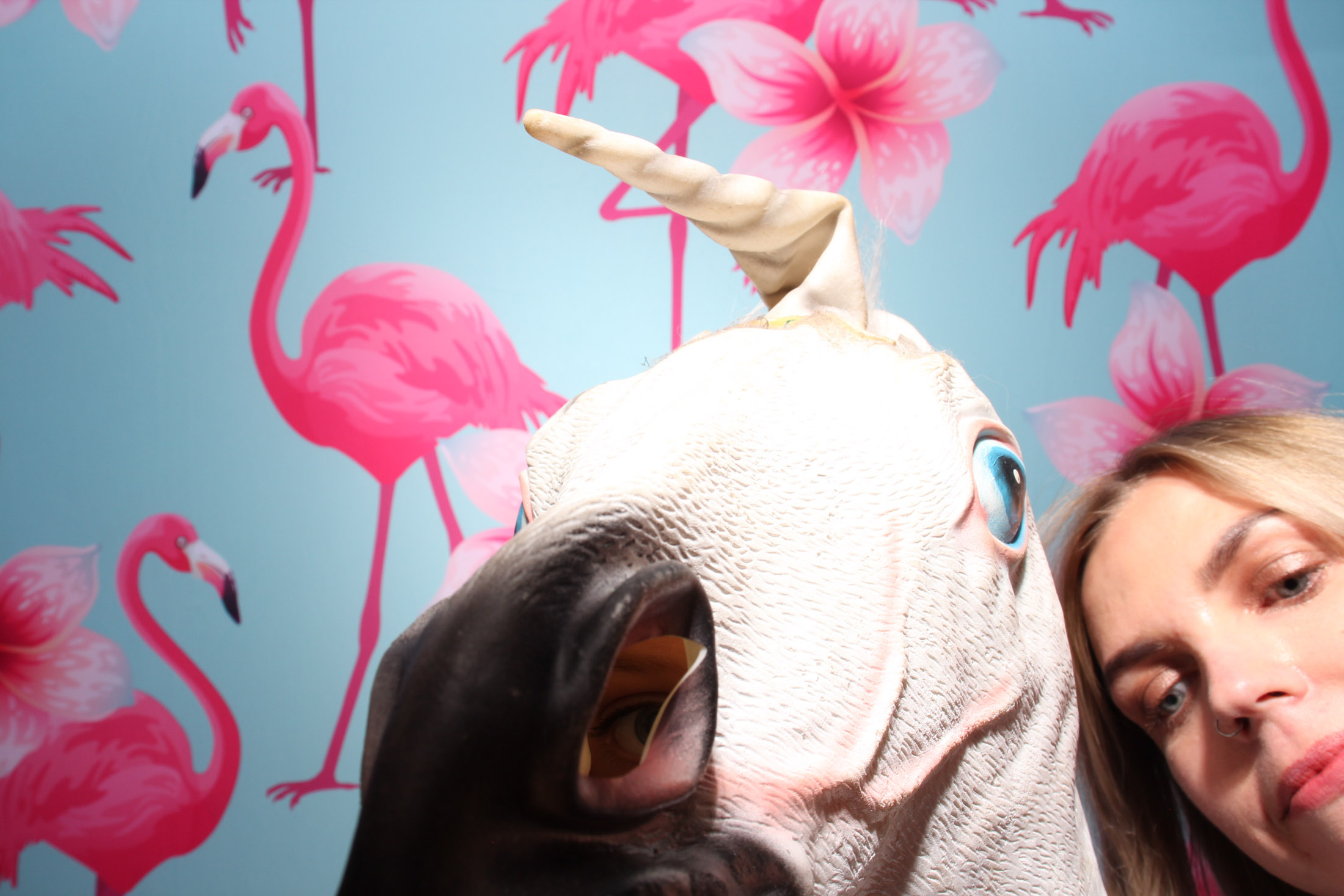 Elle & Craigs Wedding | View more photos from the event at gallery.picturematic.co/u/Picturematic/Elle-Craigs-Wedding