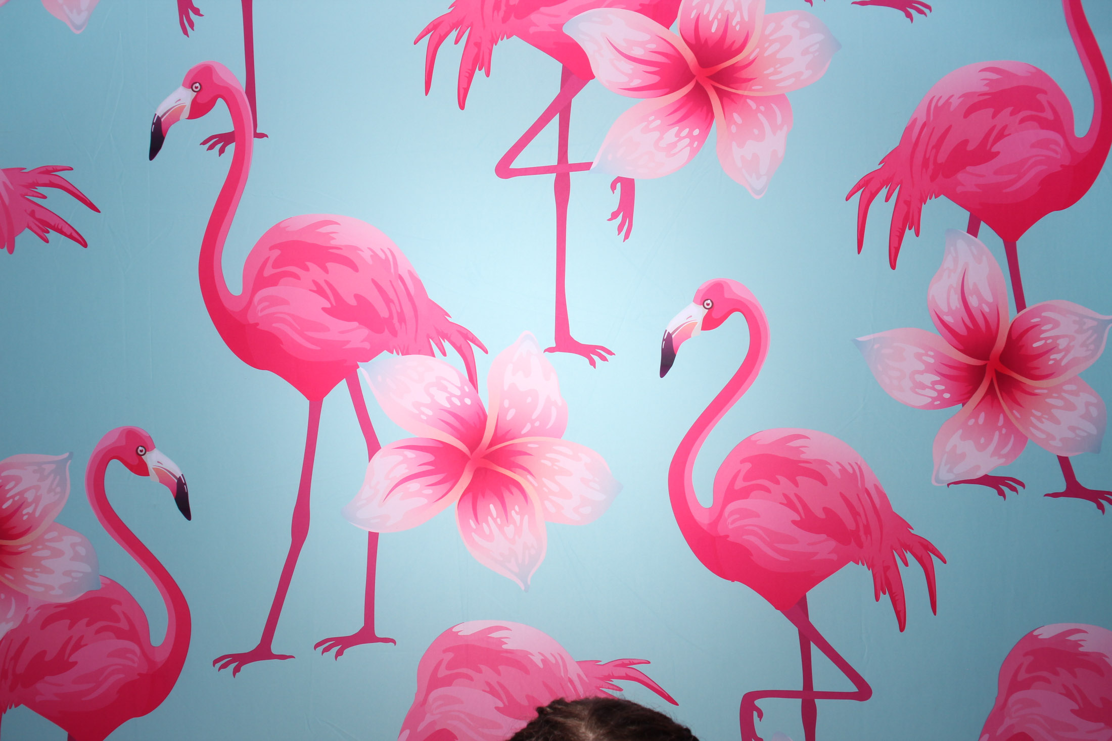 Elle & Craigs Wedding | View more photos from the event at gallery.picturematic.co/u/Picturematic/Elle-Craigs-Wedding