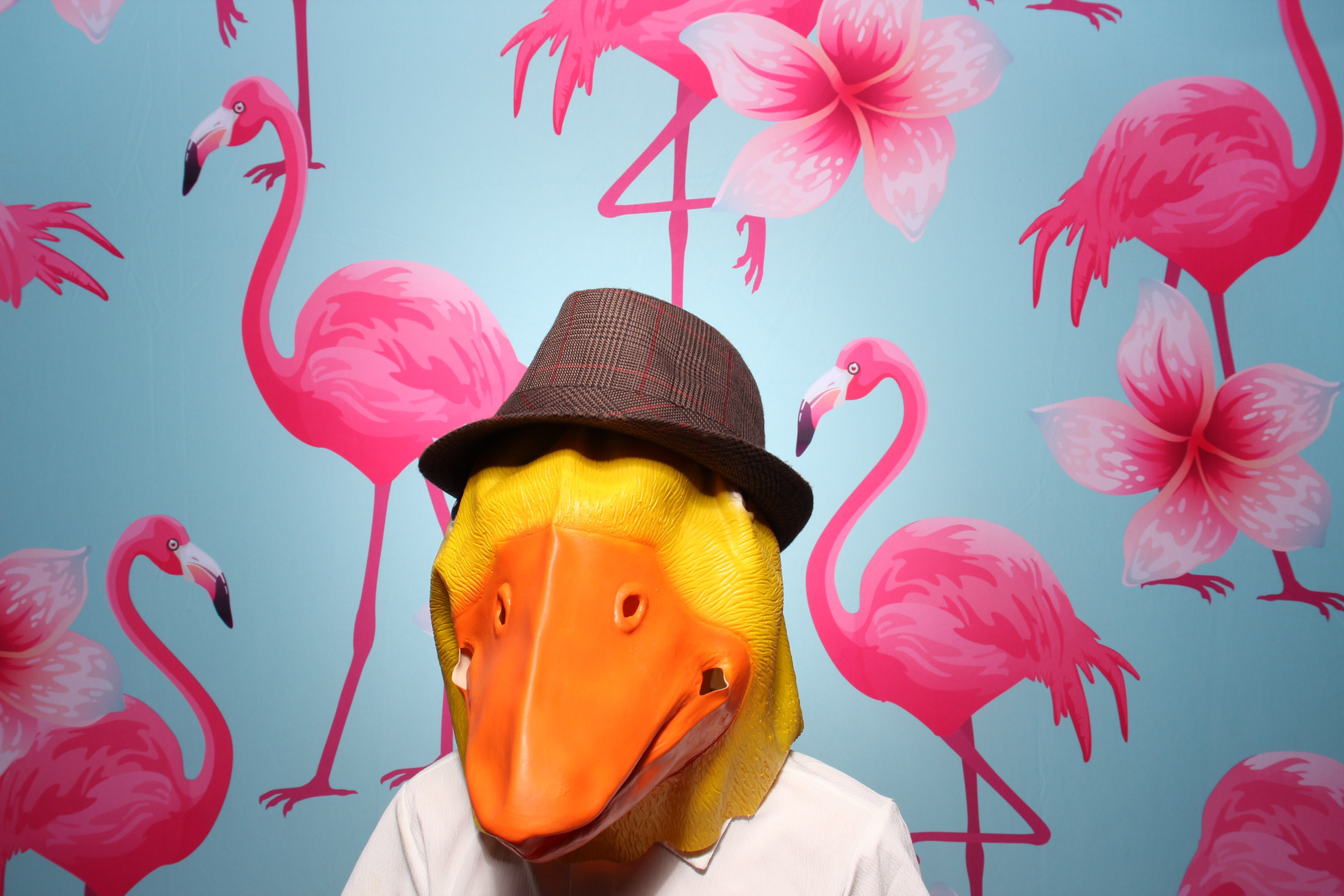 Elle & Craigs Wedding | View more photos from the event at gallery.picturematic.co/u/Picturematic/Elle-Craigs-Wedding