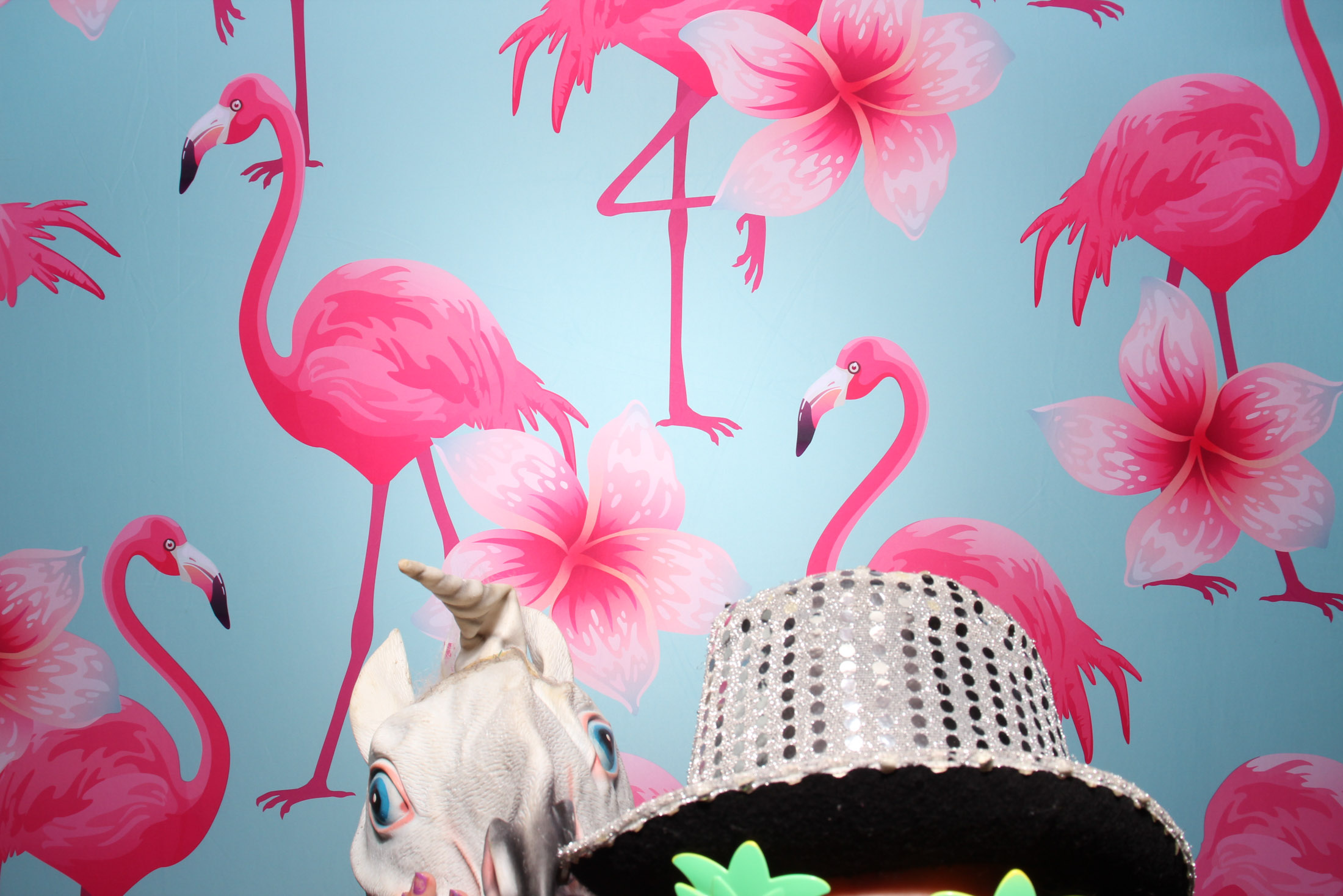 Elle & Craigs Wedding | View more photos from the event at gallery.picturematic.co/u/Picturematic/Elle-Craigs-Wedding