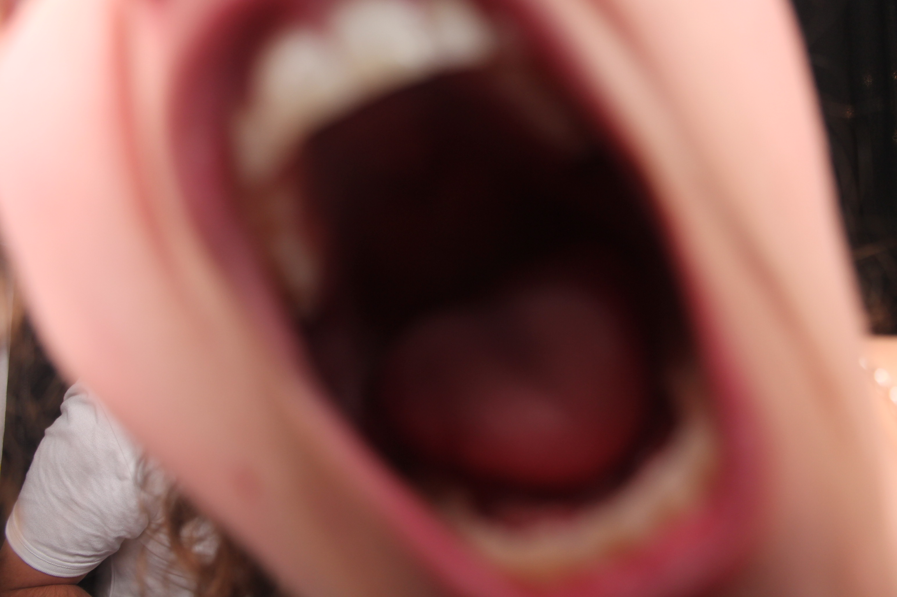 A Christmas Celebration - Duncan Cotterill | View more photos from the event at wgtngallery.classicphotobooths.co.nz/u/wgtncpbgallery/A-Christmas-Celebration-Duncan-Cotterill