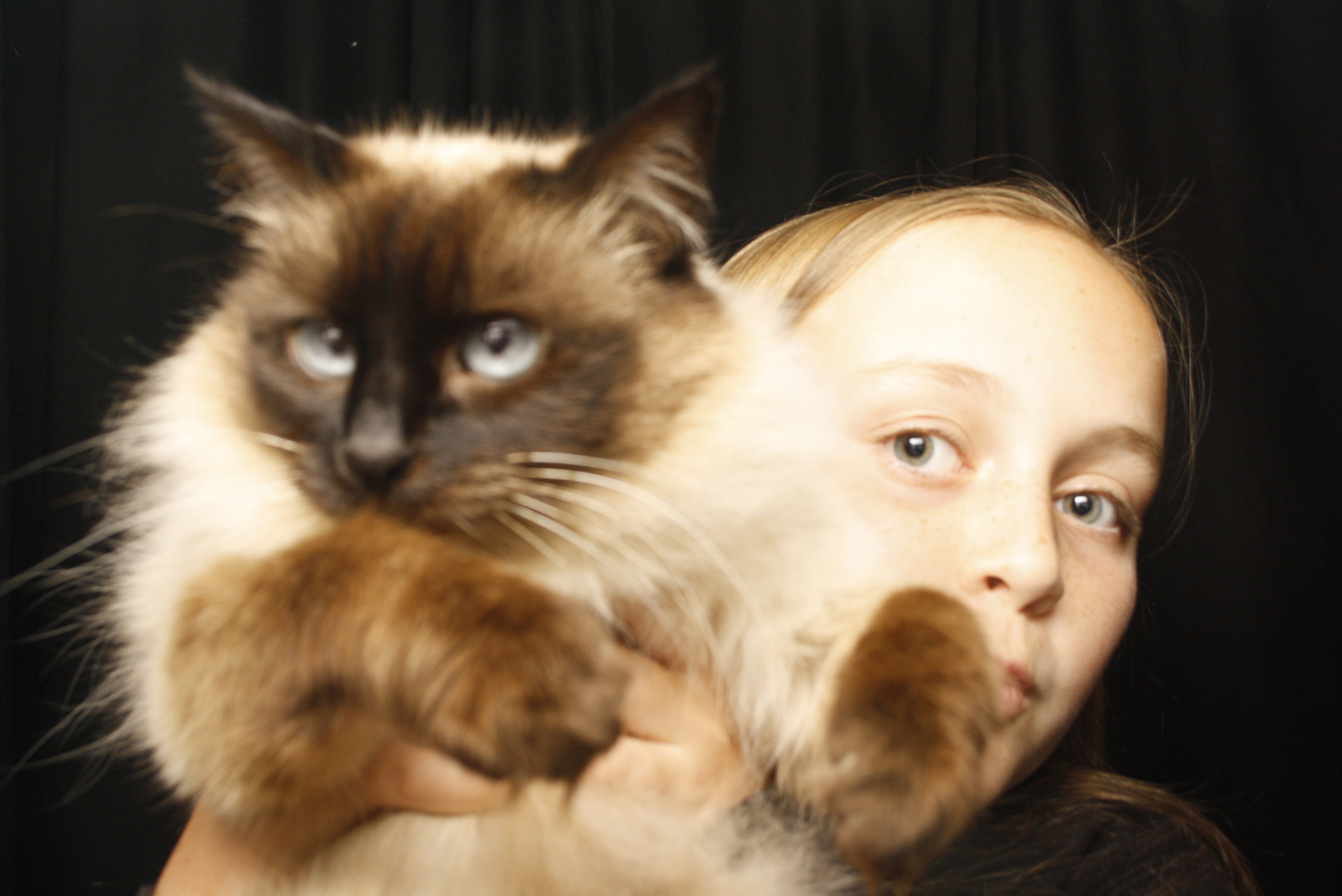 Mia & Lexi's 12th Birthday  | View more photos from the event at wgtngallery.classicphotobooths.co.nz/u/wgtncpbgallery/Mia-Lexis-12th-Birthday