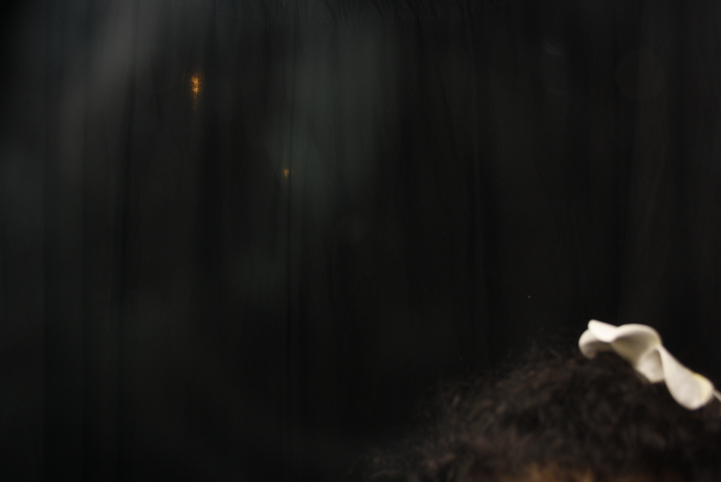 Tupou & Majesta's Wedding | View more photos from the event at wgtngallery.classicphotobooths.co.nz/u/wgtncpbgallery/Tupou-Majestas-Wedding