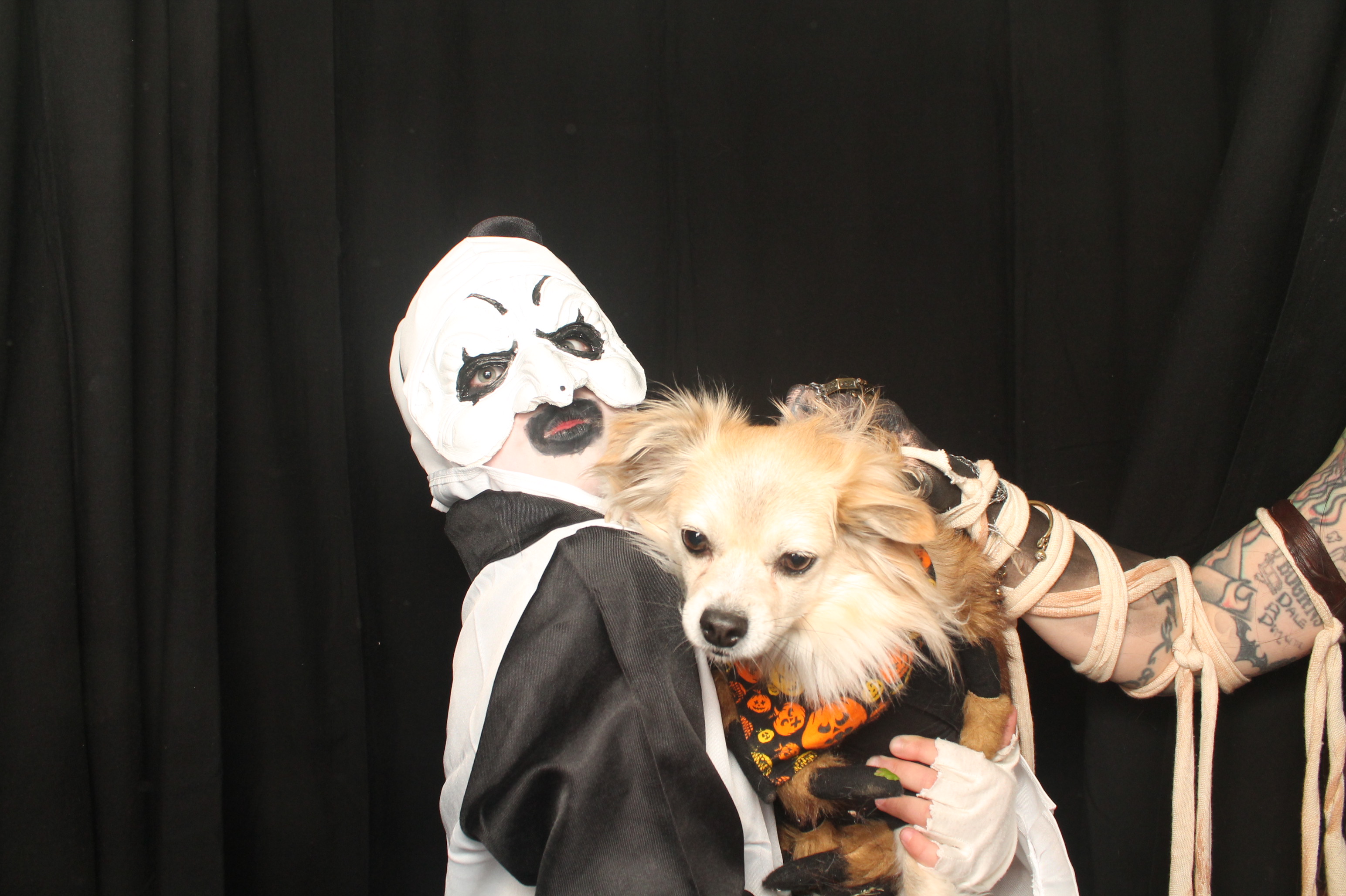 Halloween (Before Midnight) | View more photos from the event at wgtngallery.classicphotobooths.co.nz/u/wgtncpbgallery/Halloween-Before-Midnight