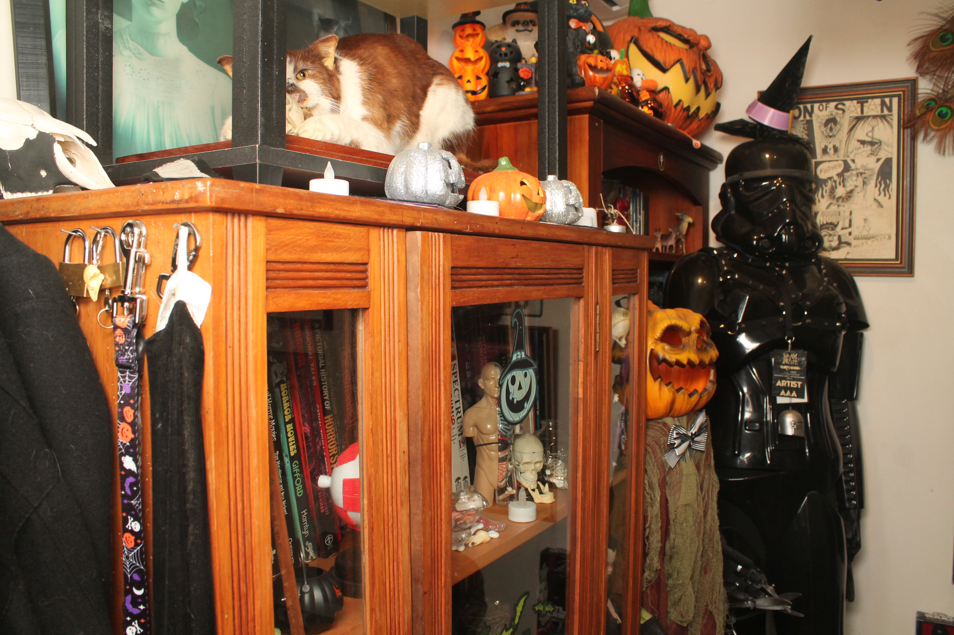 Halloween Party (After Midnight) | View more photos from the event at wgtngallery.classicphotobooths.co.nz/u/wgtncpbgallery/Halloween-Party-After-Midnight