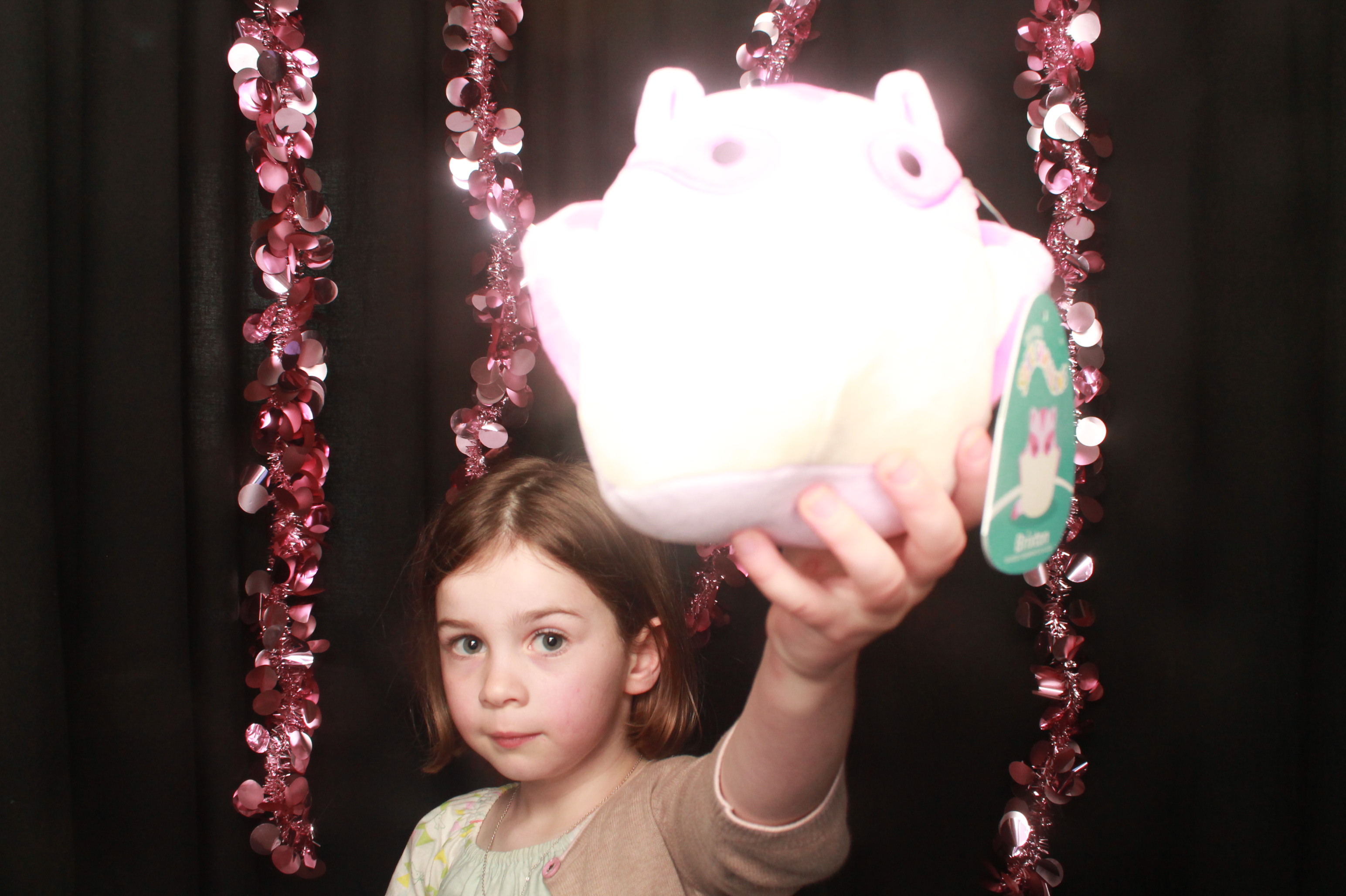 Naomi & Charlotte's Farewell Party Dec 3 2023 | View more photos from the event at wgtngallery.classicphotobooths.co.nz/u/wgtncpbgallery/Naomi-Charlottes-Farewell-Party-Dec-3-2023