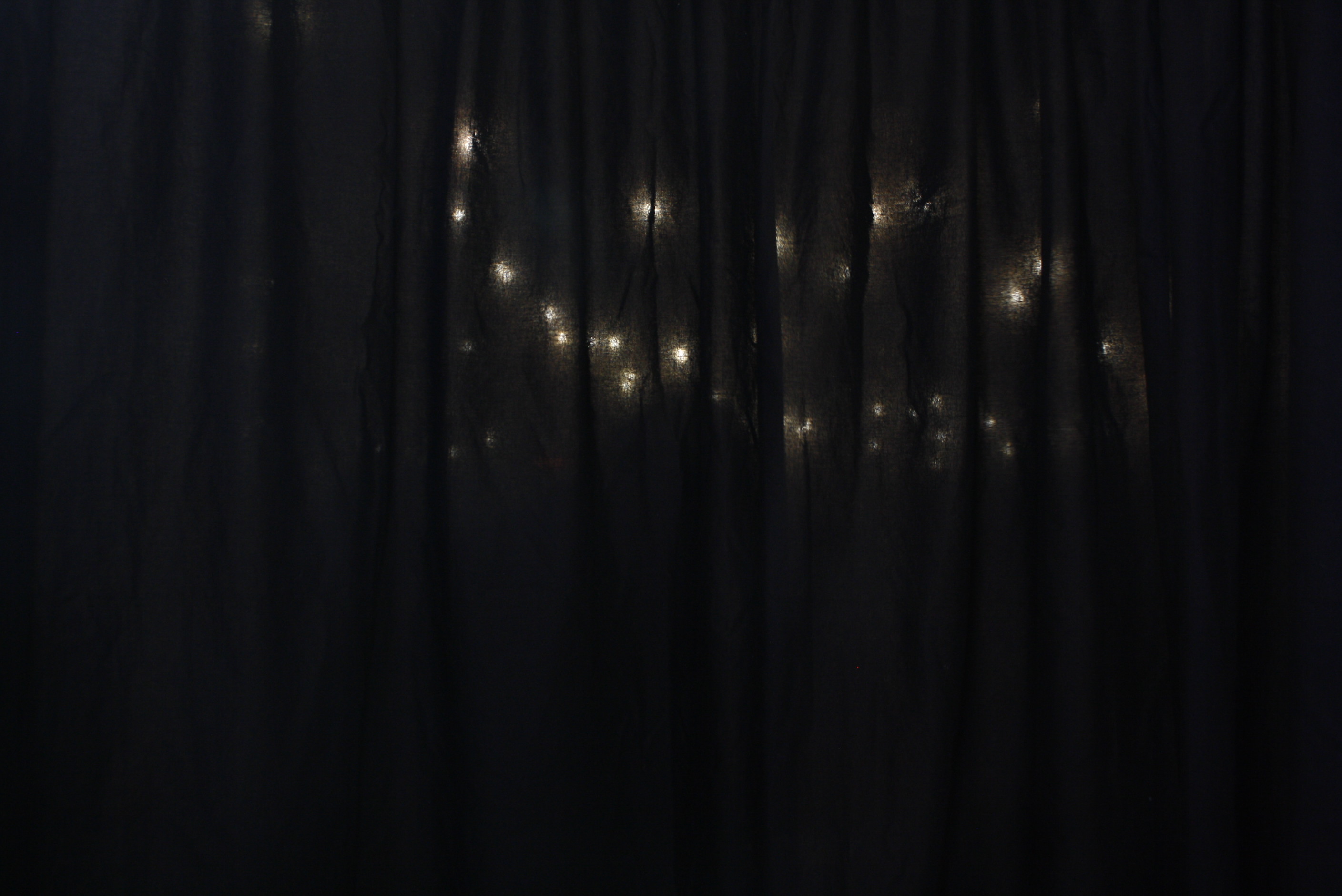 Our Wedding - Thusday 29th Feb 2024 | View more photos from the event at wgtngallery.classicphotobooths.co.nz/u/wgtncpbgallery/Our-Wedding-Thusday-29th-Feb-2024