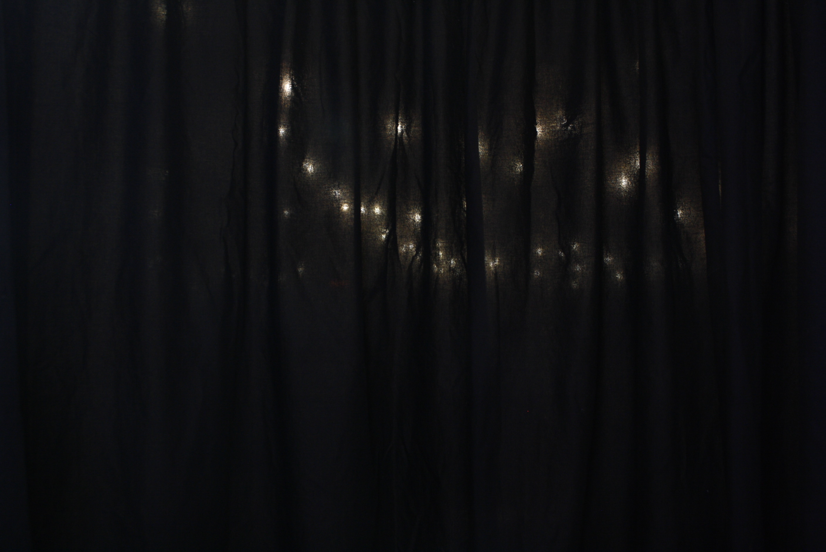 Our Wedding - Thusday 29th Feb 2024 | View more photos from the event at wgtngallery.classicphotobooths.co.nz/u/wgtncpbgallery/Our-Wedding-Thusday-29th-Feb-2024