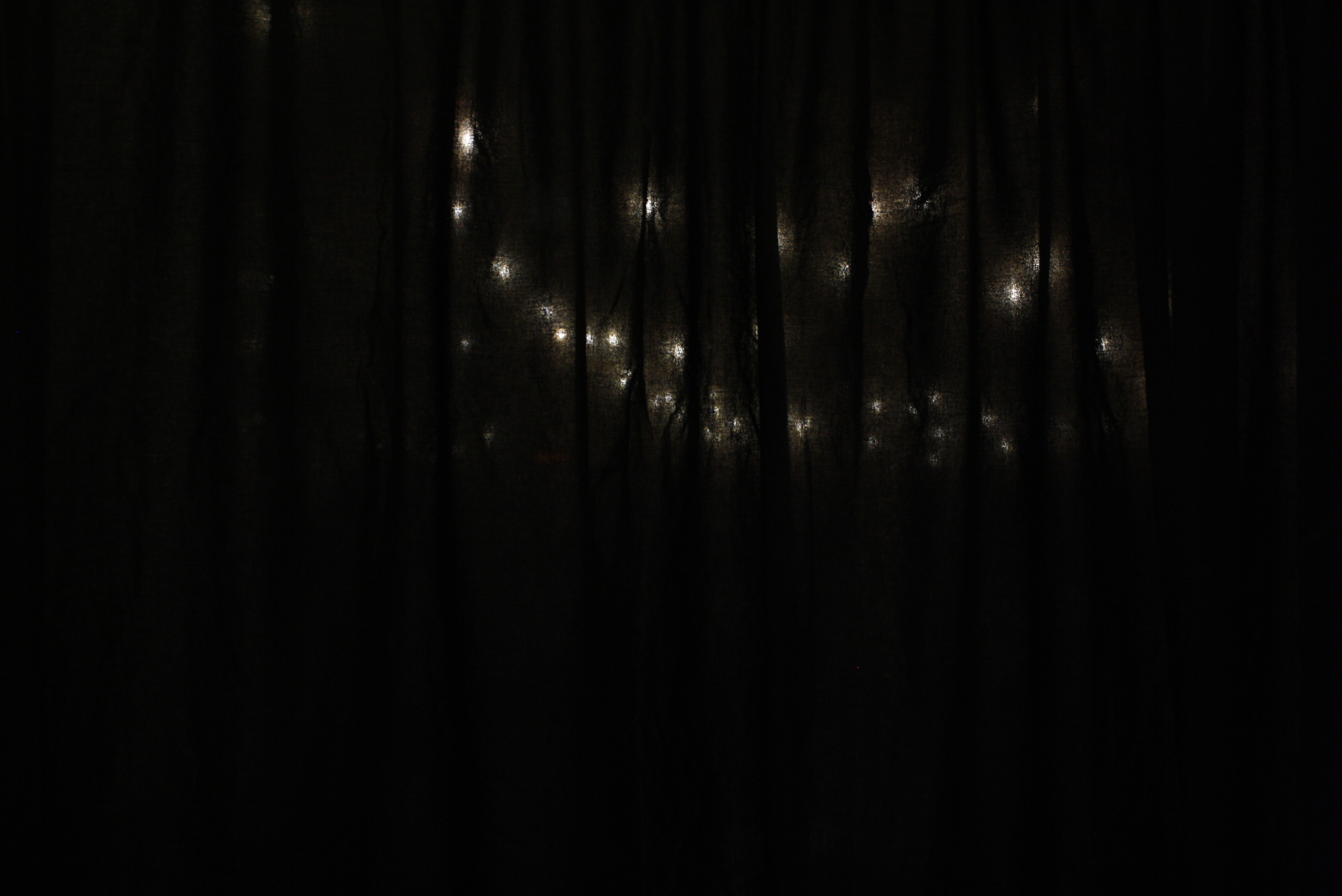 Our Wedding - Thusday 29th Feb 2024 | View more photos from the event at wgtngallery.classicphotobooths.co.nz/u/wgtncpbgallery/Our-Wedding-Thusday-29th-Feb-2024