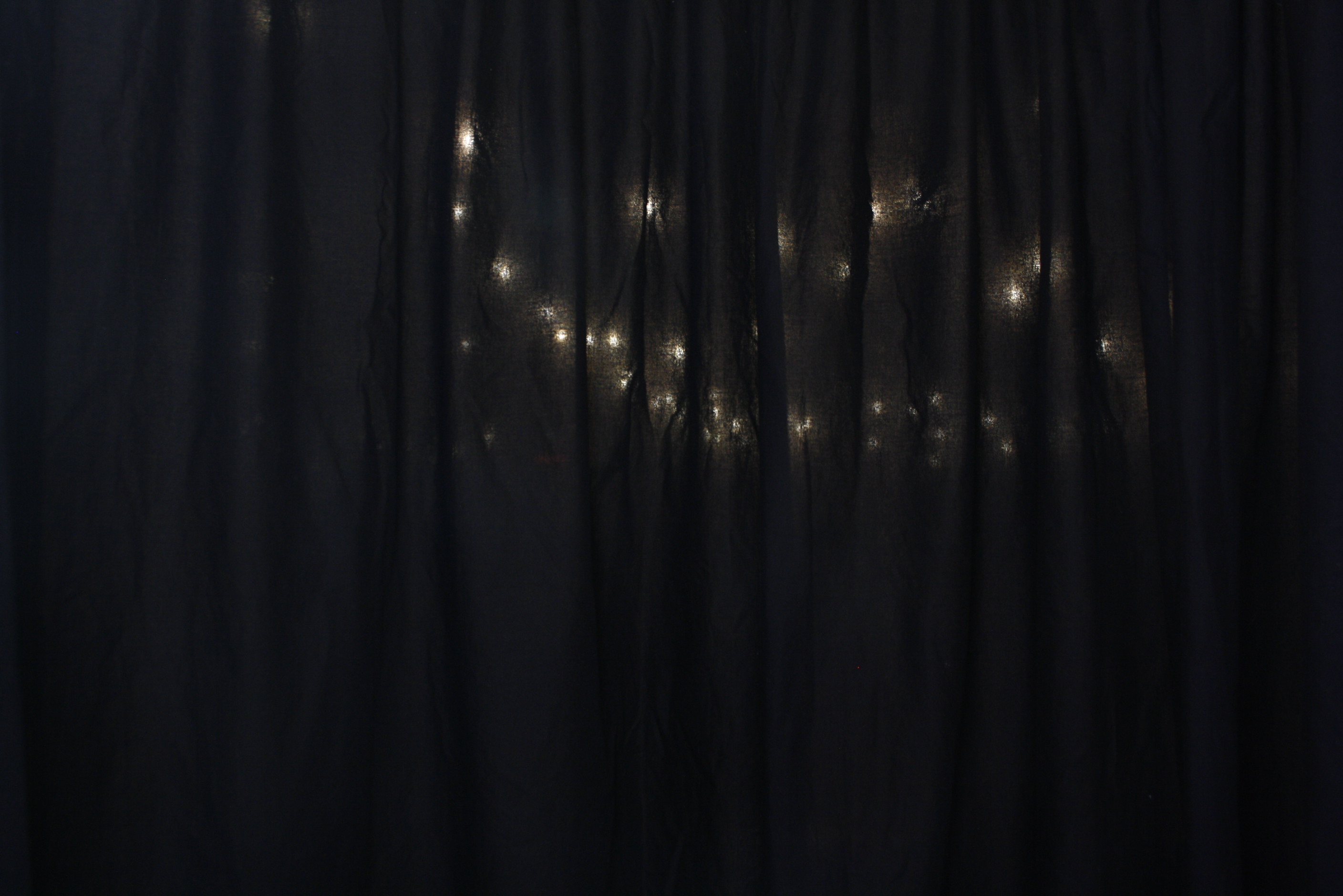 Our Wedding - Thusday 29th Feb 2024 | View more photos from the event at wgtngallery.classicphotobooths.co.nz/u/wgtncpbgallery/Our-Wedding-Thusday-29th-Feb-2024