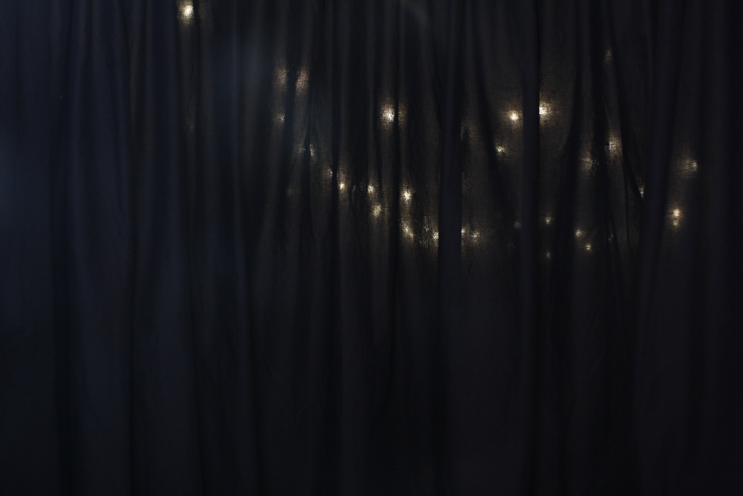 Our Wedding - Thusday 29th Feb 2024 | View more photos from the event at wgtngallery.classicphotobooths.co.nz/u/wgtncpbgallery/Our-Wedding-Thusday-29th-Feb-2024