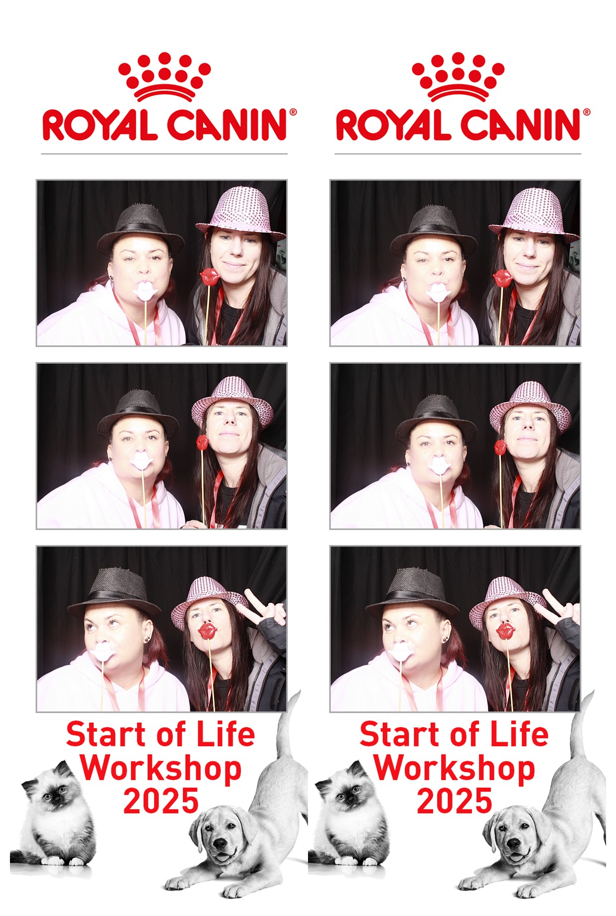 Royal Canin - Start of Life Workshop  2025 Wellington | View more photos from the event at wgtngallery.classicphotobooths.co.nz/u/wgtncpbgallery/Royal-Canin-Start-of-Life-Workshop-2025-Wellington