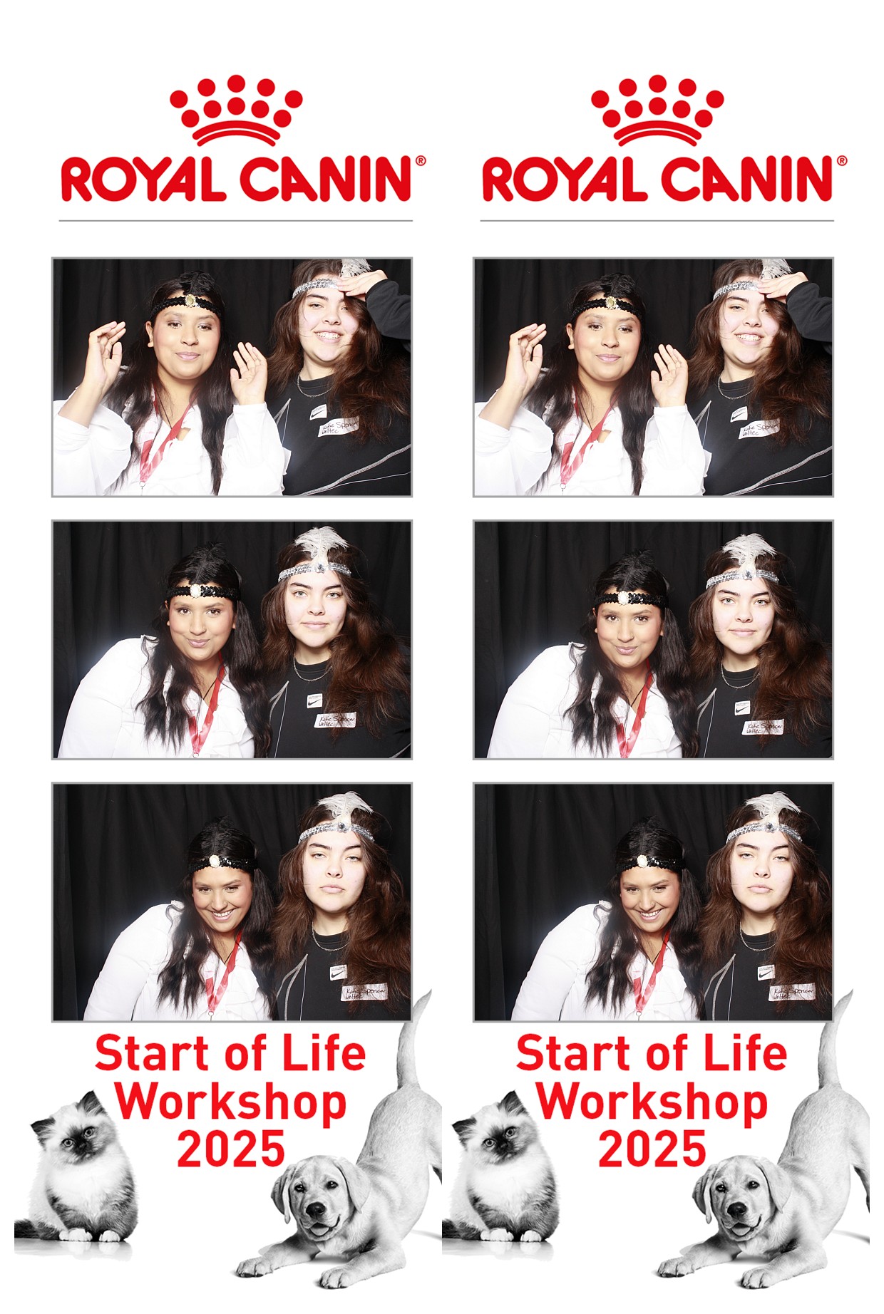 Royal Canin - Start of Life Workshop  2025 Wellington | View more photos from the event at wgtngallery.classicphotobooths.co.nz/u/wgtncpbgallery/Royal-Canin-Start-of-Life-Workshop-2025-Wellington