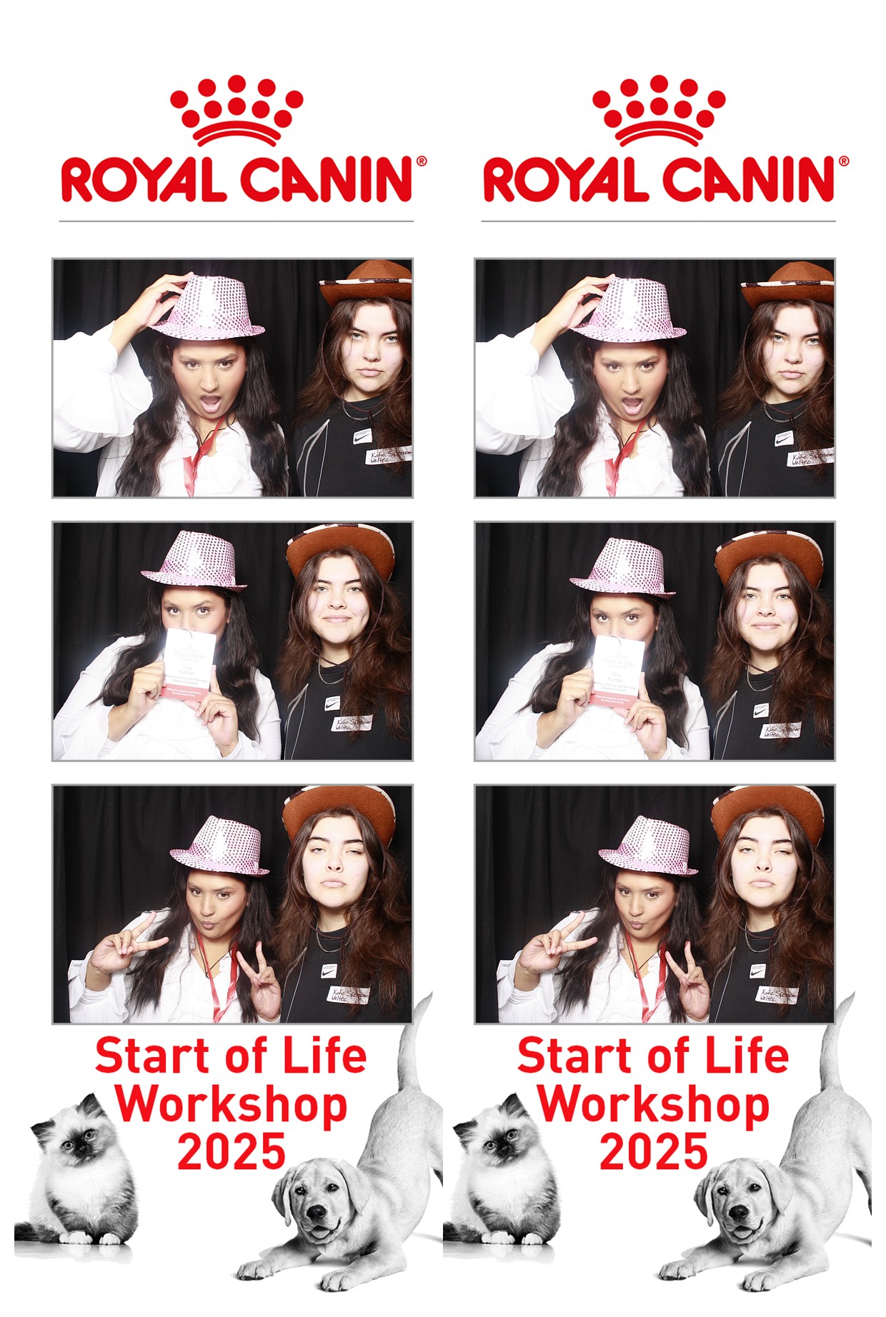 Royal Canin - Start of Life Workshop  2025 Wellington | View more photos from the event at wgtngallery.classicphotobooths.co.nz/u/wgtncpbgallery/Royal-Canin-Start-of-Life-Workshop-2025-Wellington