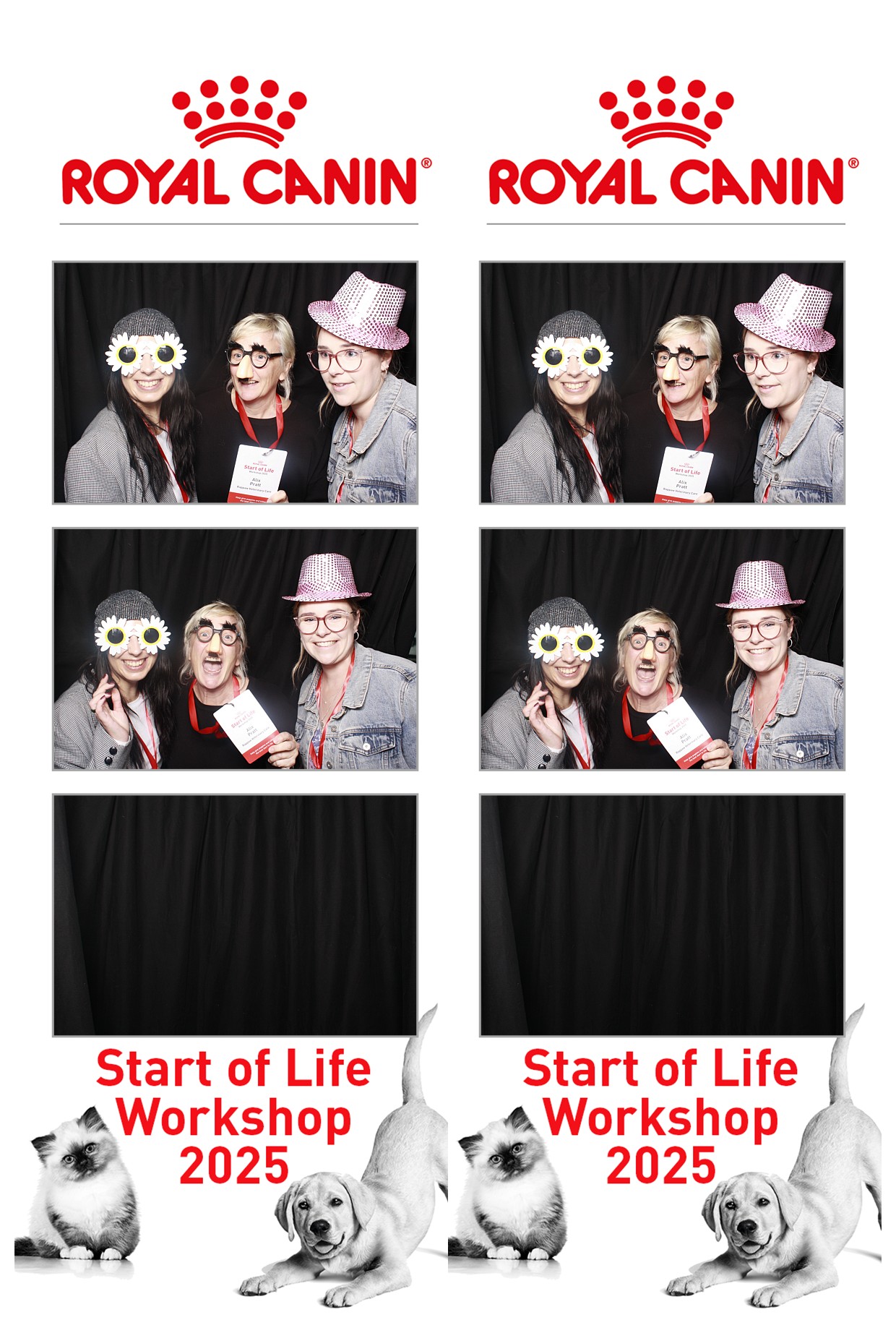 Royal Canin - Start of Life Workshop  2025 Wellington | View more photos from the event at wgtngallery.classicphotobooths.co.nz/u/wgtncpbgallery/Royal-Canin-Start-of-Life-Workshop-2025-Wellington