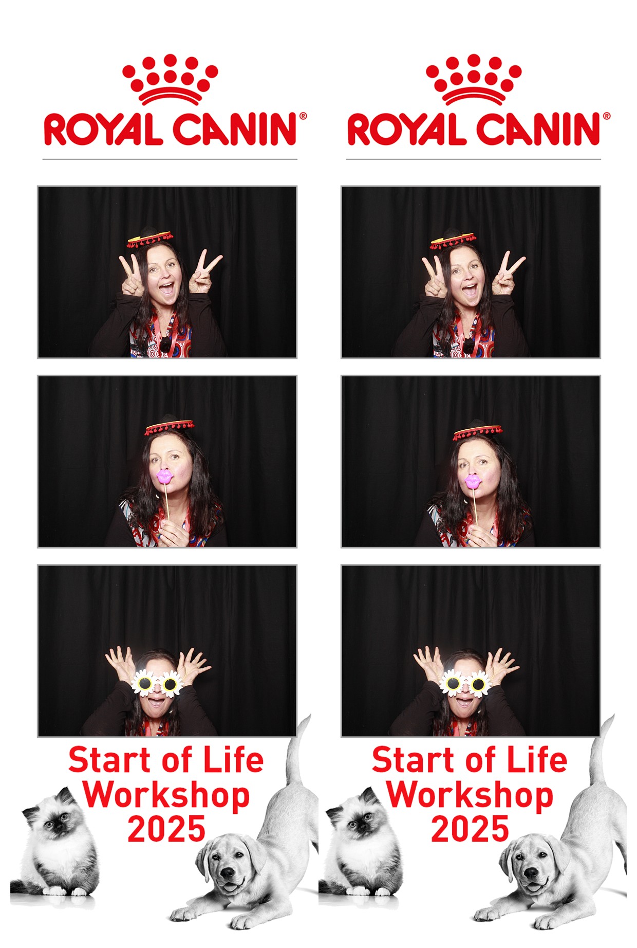 Royal Canin - Start of Life Workshop  2025 Wellington | View more photos from the event at wgtngallery.classicphotobooths.co.nz/u/wgtncpbgallery/Royal-Canin-Start-of-Life-Workshop-2025-Wellington