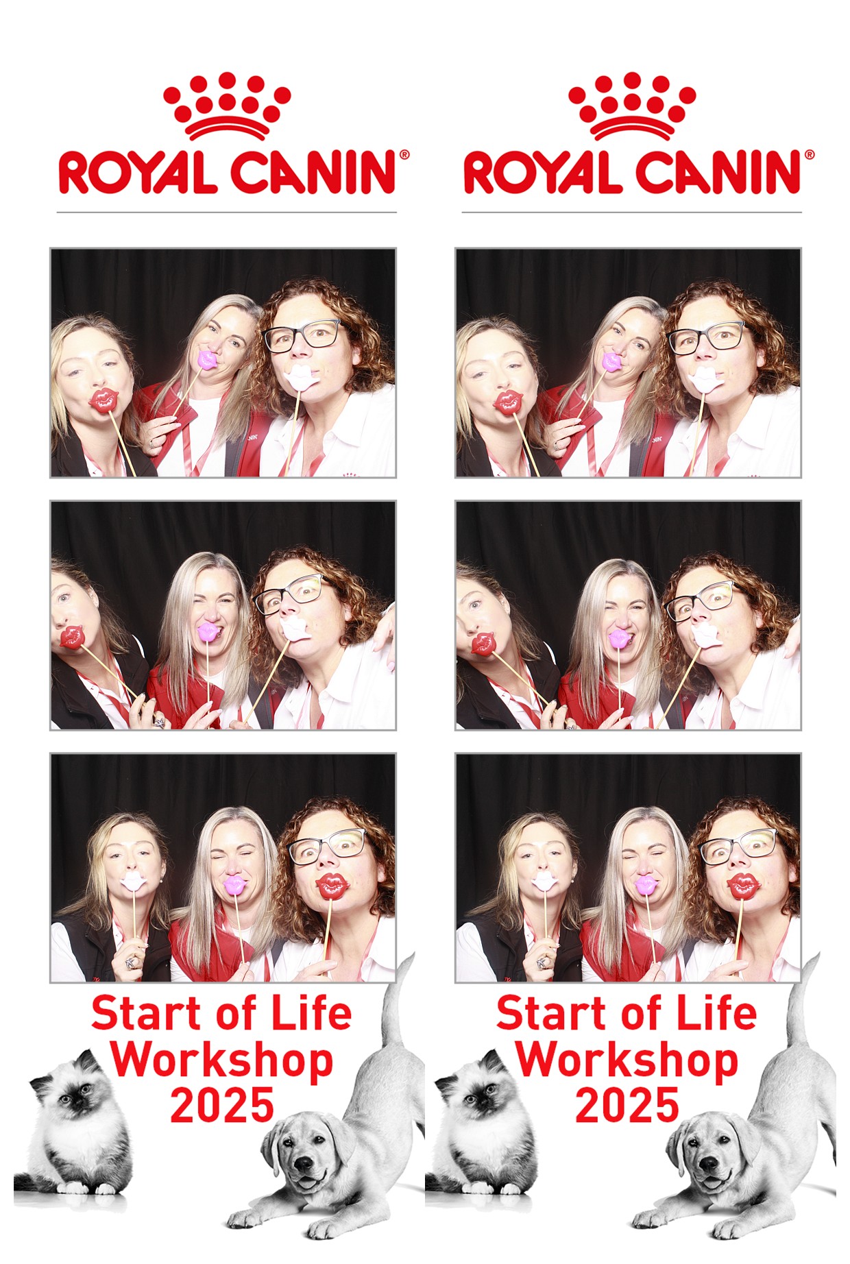 Royal Canin - Start of Life Workshop  2025 Wellington | View more photos from the event at wgtngallery.classicphotobooths.co.nz/u/wgtncpbgallery/Royal-Canin-Start-of-Life-Workshop-2025-Wellington