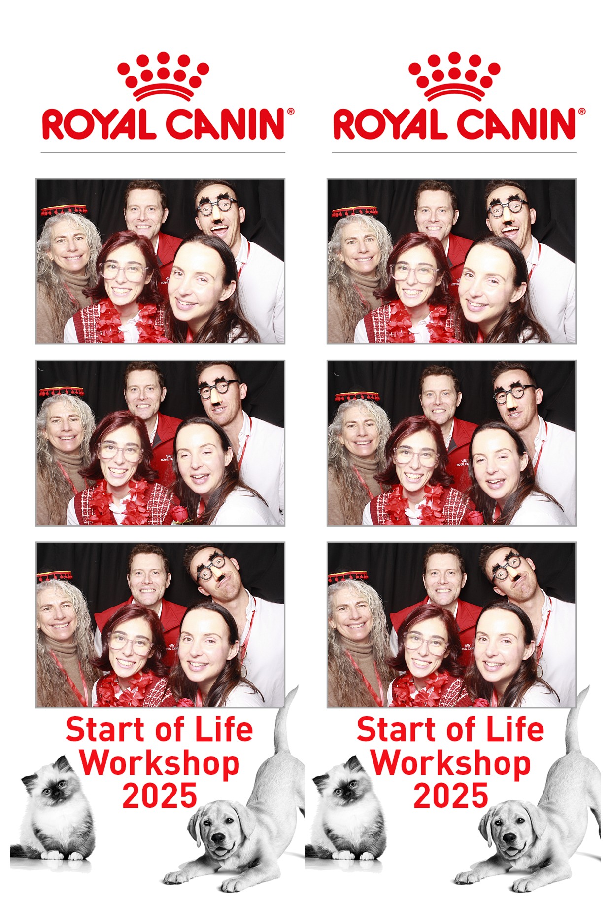 Royal Canin - Start of Life Workshop  2025 Wellington | View more photos from the event at wgtngallery.classicphotobooths.co.nz/u/wgtncpbgallery/Royal-Canin-Start-of-Life-Workshop-2025-Wellington